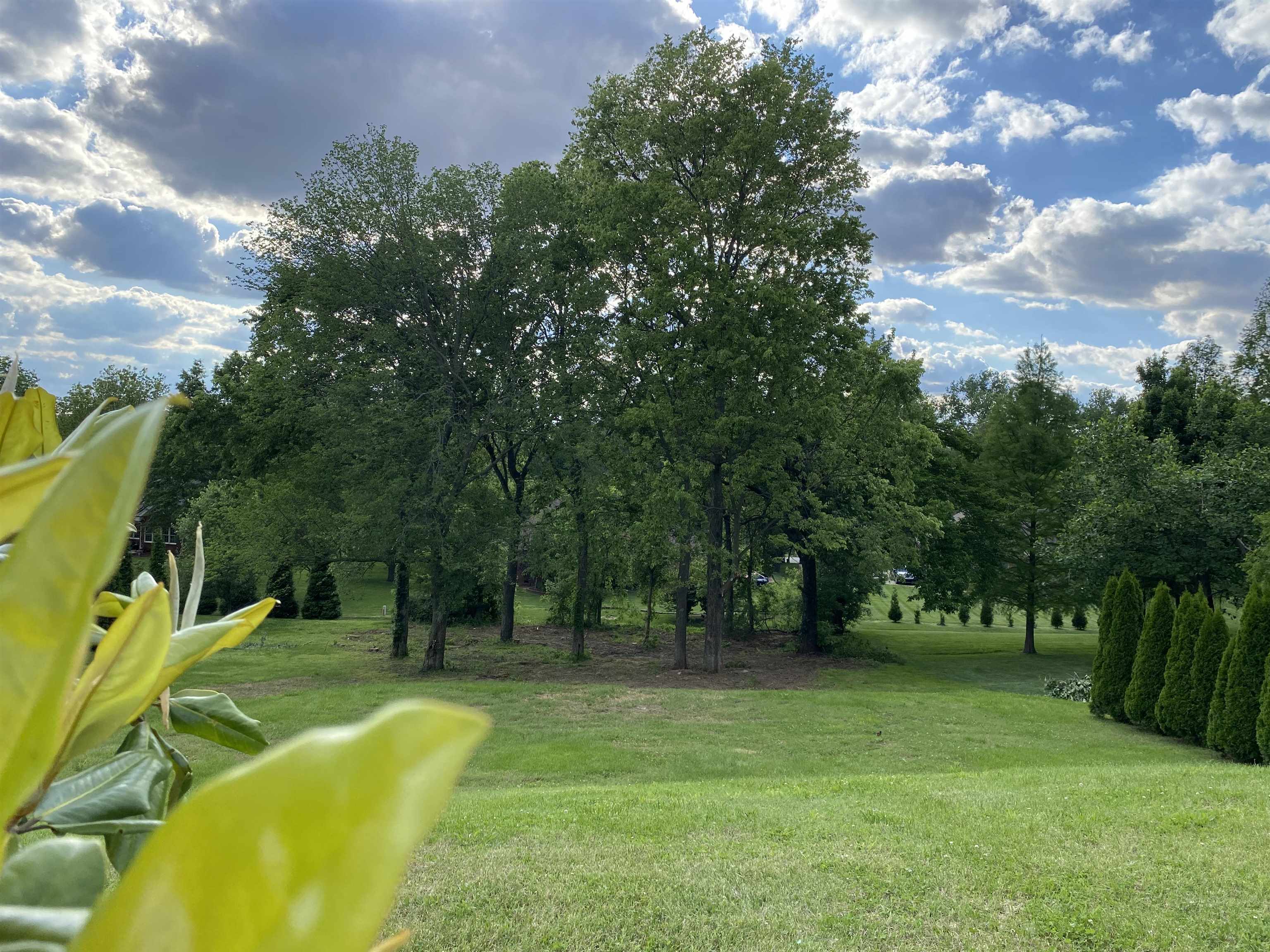 260 Ridgecrest Pl, Owensboro, Kentucky 42301, ,Land,For Sale,Ridgecrest Pl,89584