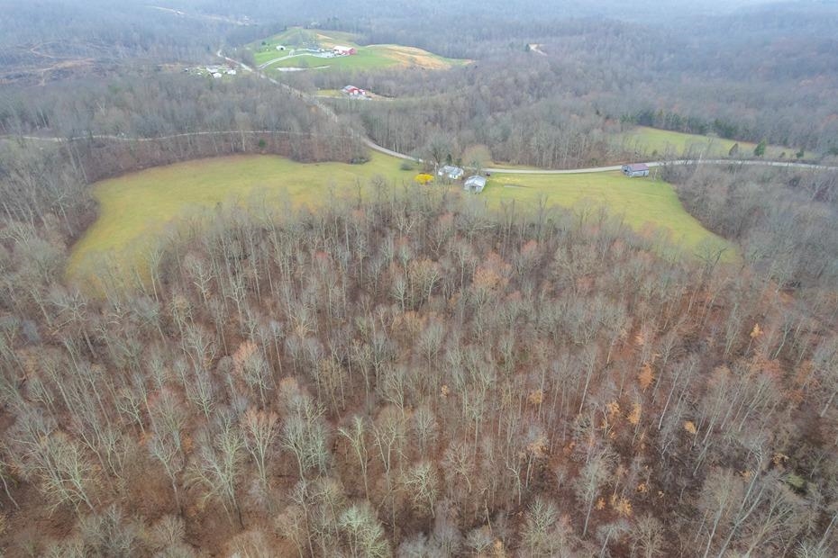 6875 State Route 1700, Fordsville, Kentucky 42343, ,Land,For Sale,State Route 1700,89627