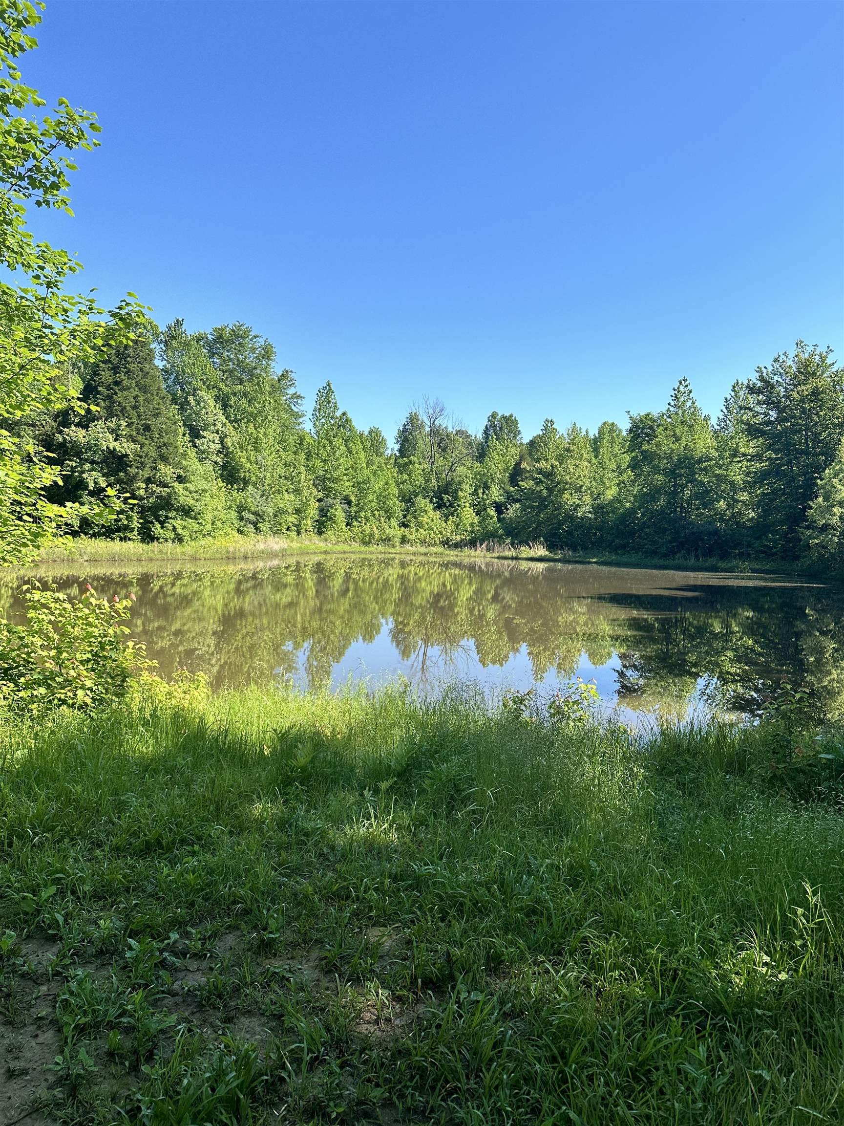 2831 Russell Road, Utica, Kentucky 42376, ,Land,For Sale,Russell Road,89696
