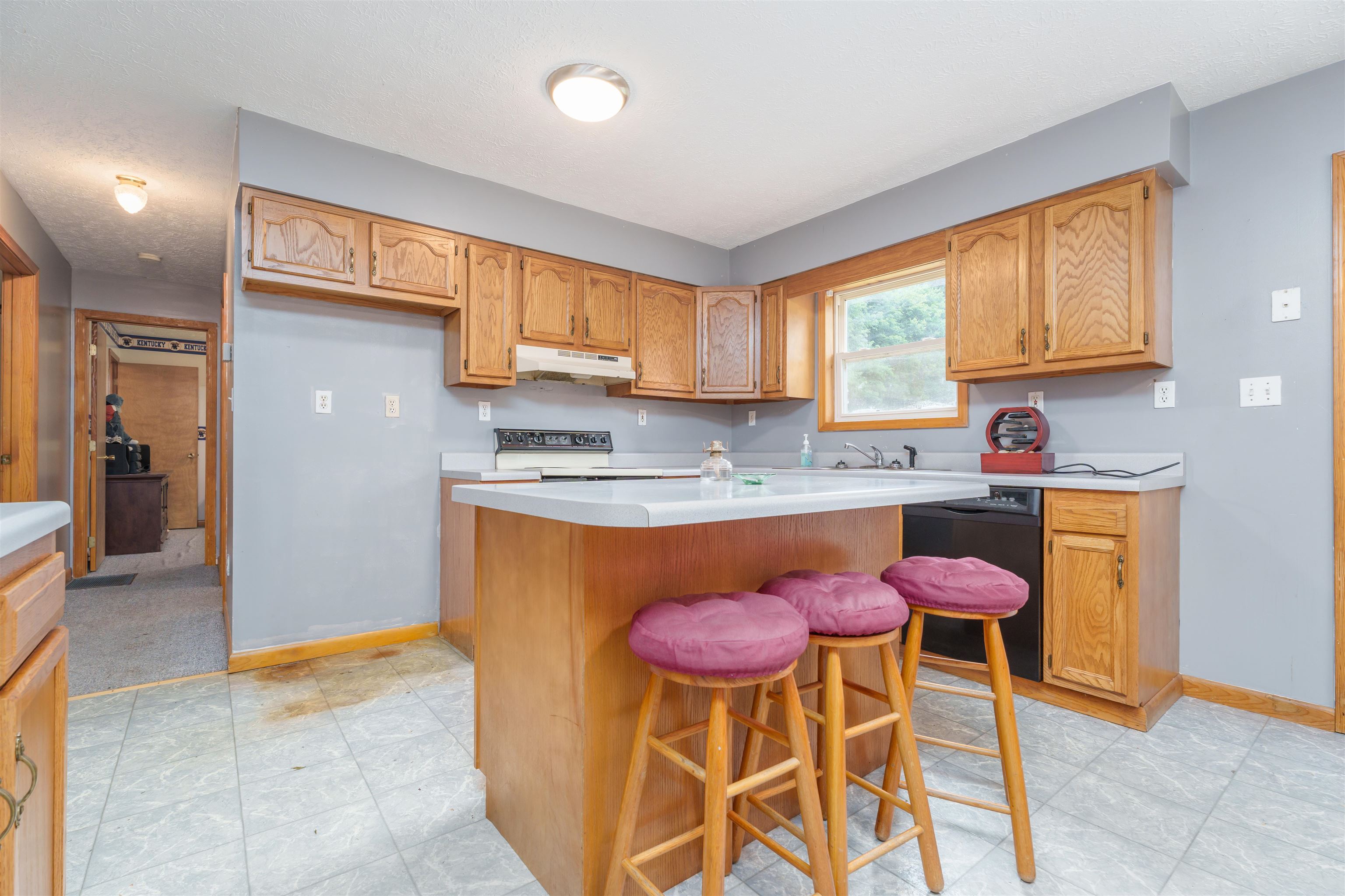 408 Horse Branch Church Lane, Horse Branch, Kentucky 42349, 2 Bedrooms Bedrooms, ,1 BathroomBathrooms,Single Family Residence,For Sale,Horse Branch Church Lane,89708