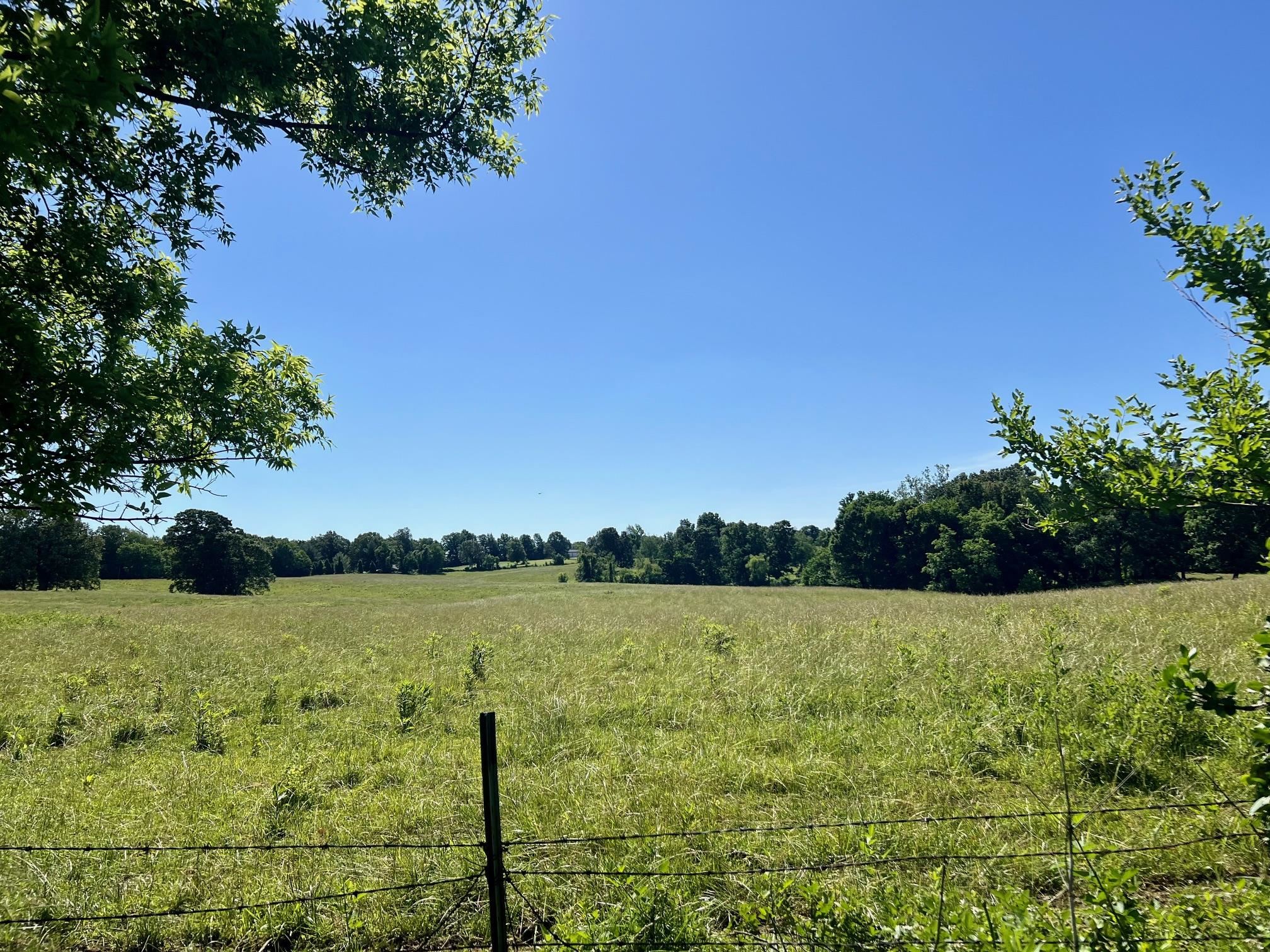 2217 Cottingham Pratt Rd, Sebree, Kentucky 42455, 3 Bedrooms Bedrooms, ,1 BathroomBathrooms,Single Family Residence,For Sale,Cottingham Pratt Rd,89741