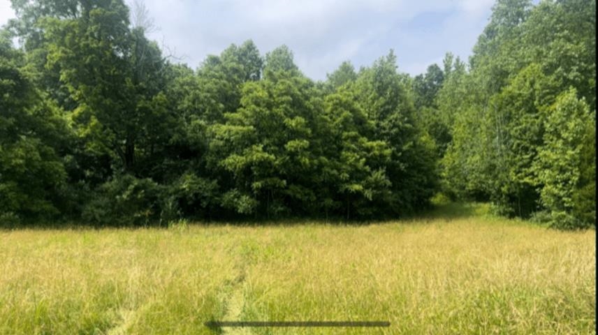 760 Easton Cabot Road, Fordsville, Kentucky 42343, ,Land,For Sale,Easton Cabot Road,89802