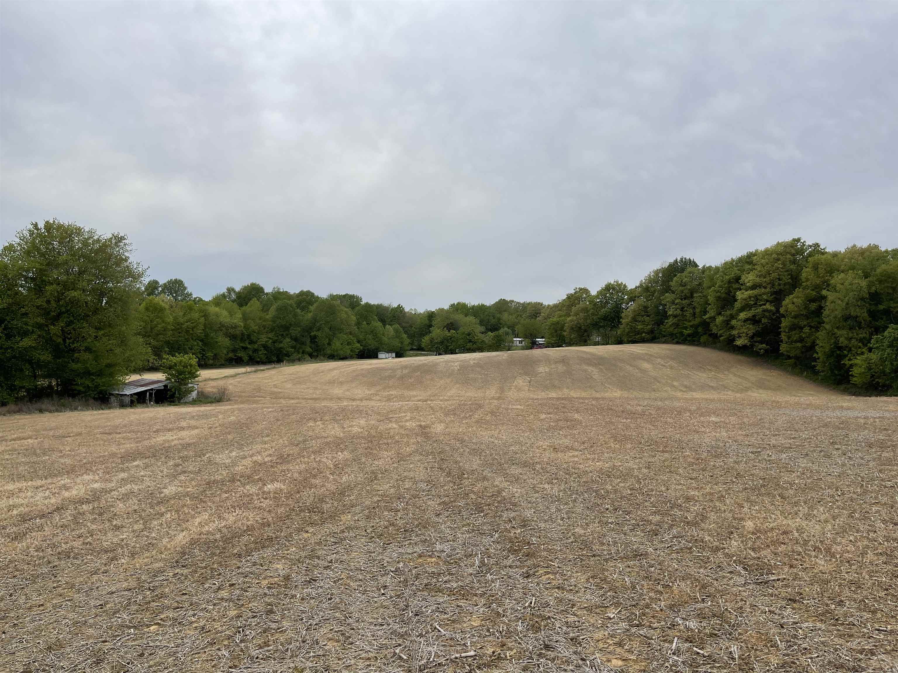 3756 State Route 56 N, Calhoun, Kentucky 42327, 2 Bedrooms Bedrooms, ,1 BathroomBathrooms,Farm,For Sale,State Route 56 N,89807