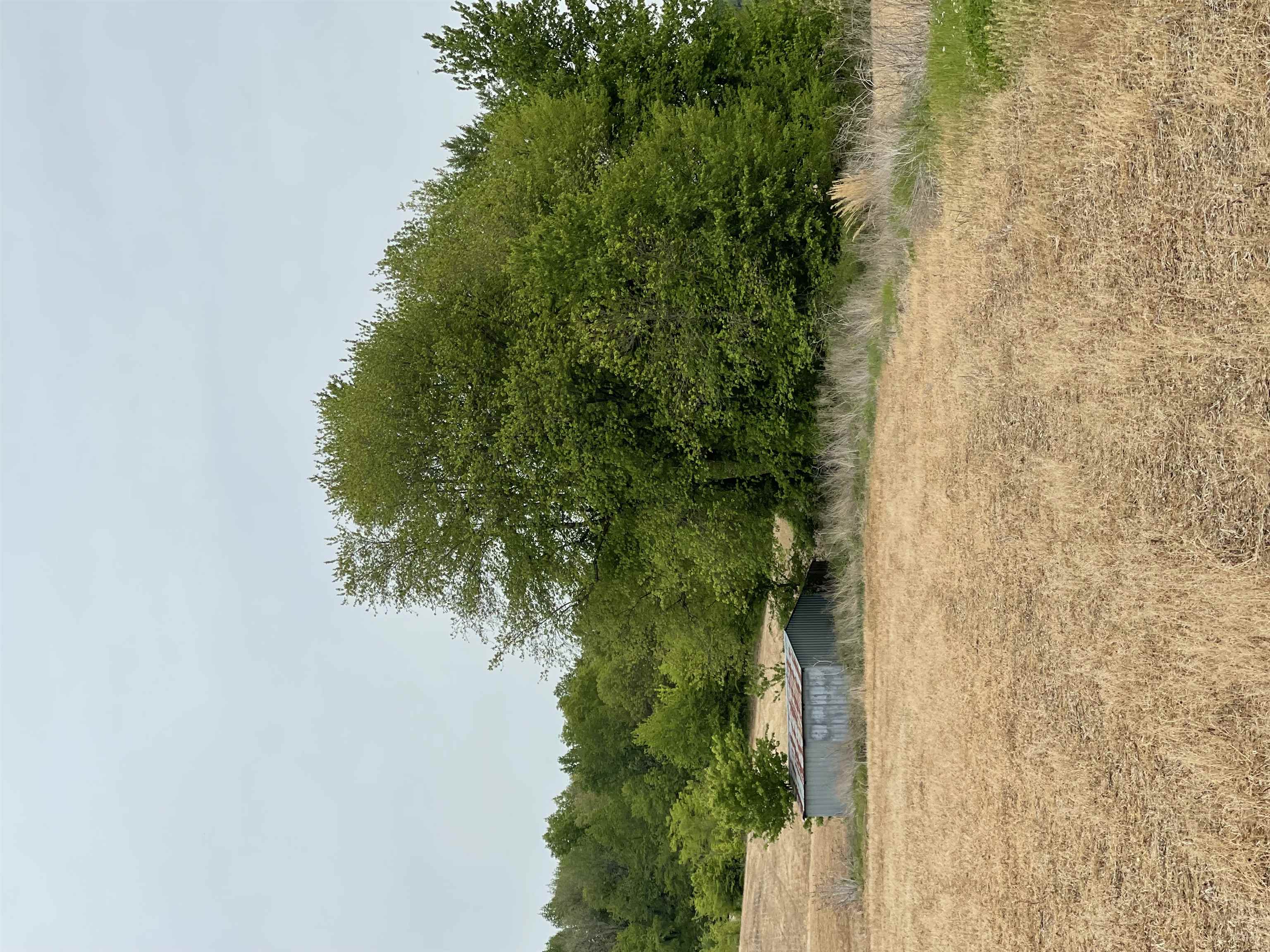 3756 State Route 56 N, Calhoun, Kentucky 42327, 2 Bedrooms Bedrooms, ,1 BathroomBathrooms,Farm,For Sale,State Route 56 N,89807