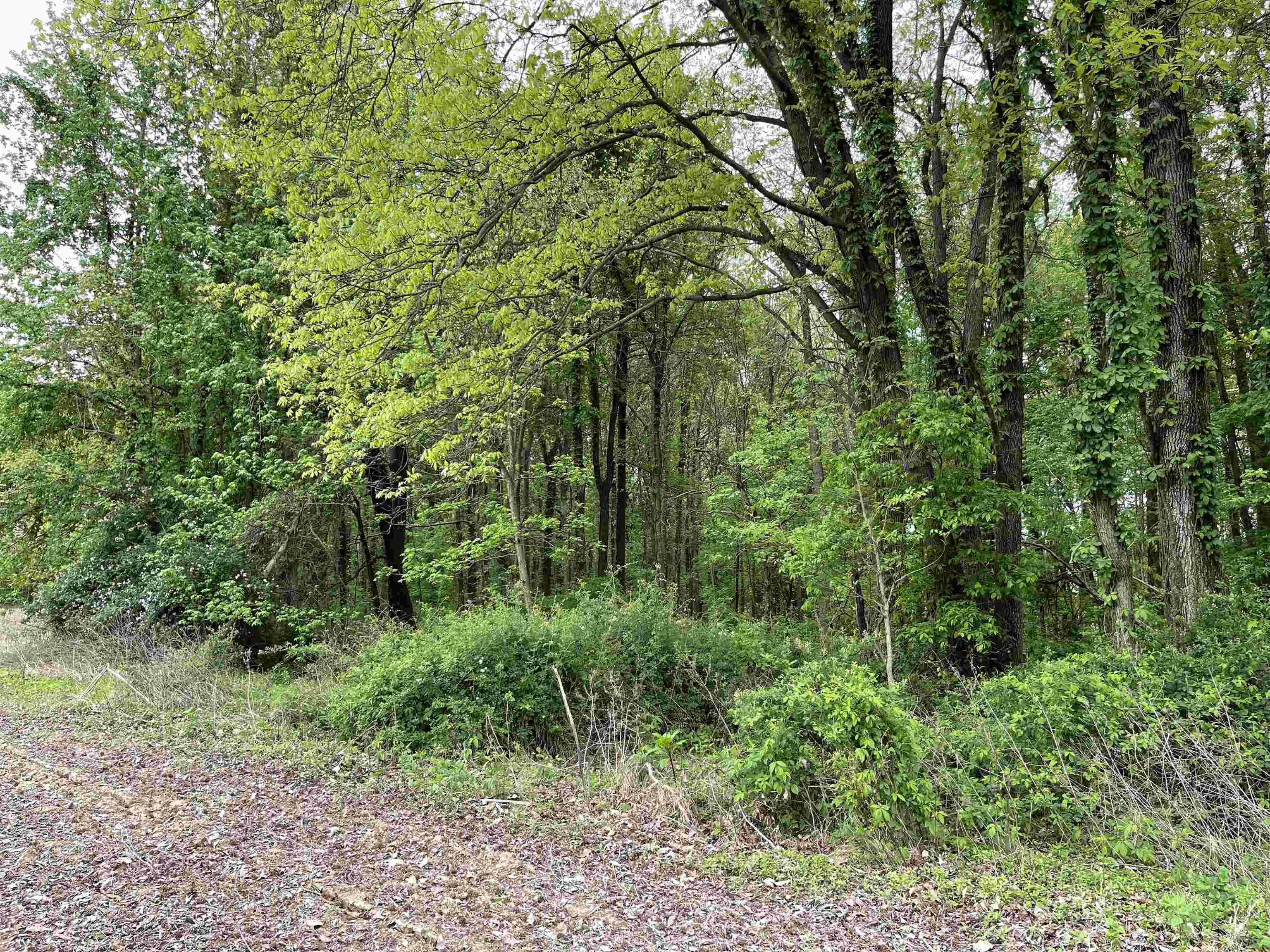 3756 State Route 56 N, Calhoun, Kentucky 42327, 2 Bedrooms Bedrooms, ,1 BathroomBathrooms,Farm,For Sale,State Route 56 N,89807