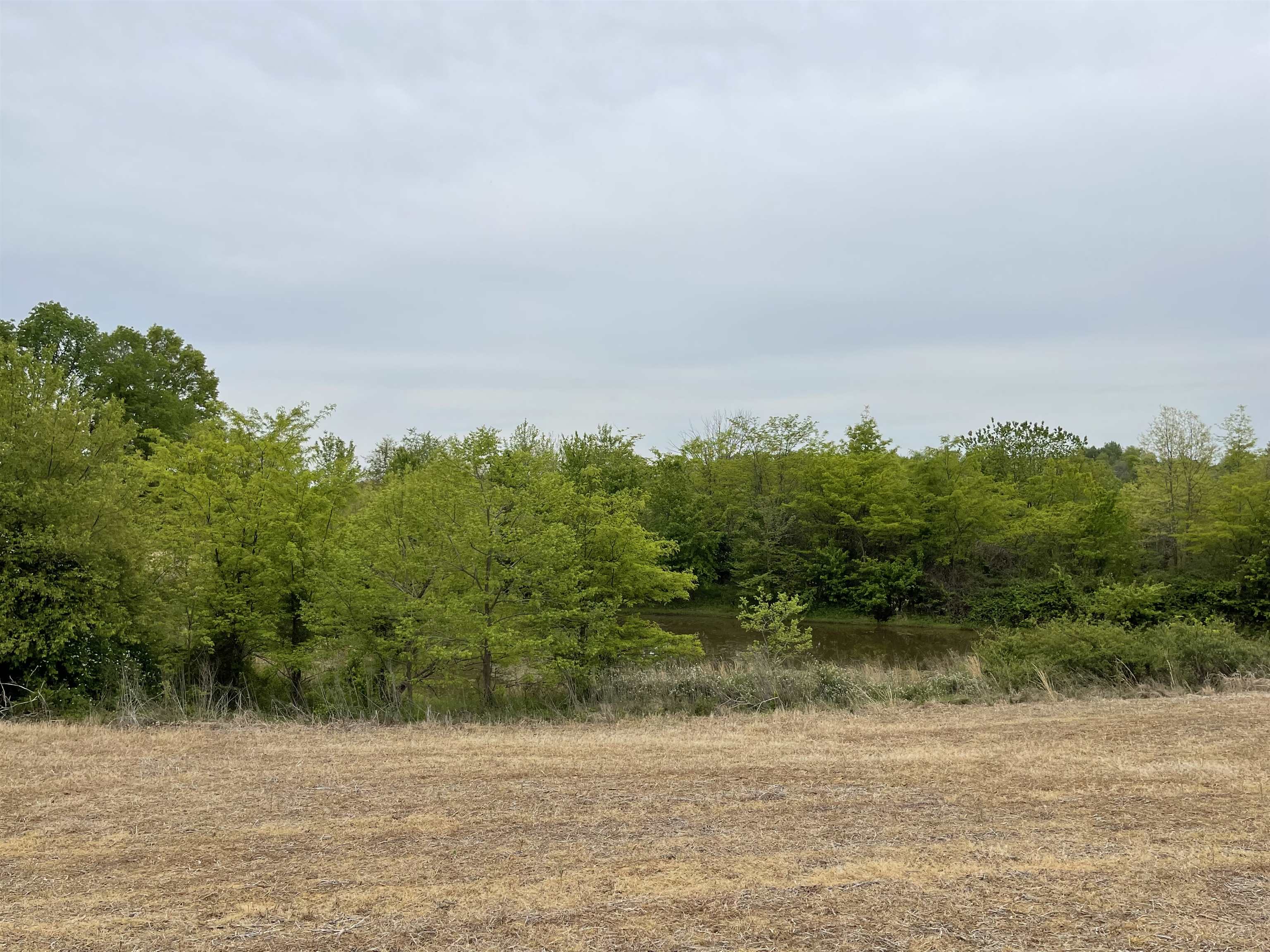 3756 State Route 56 N, Calhoun, Kentucky 42327, 2 Bedrooms Bedrooms, ,1 BathroomBathrooms,Farm,For Sale,State Route 56 N,89807