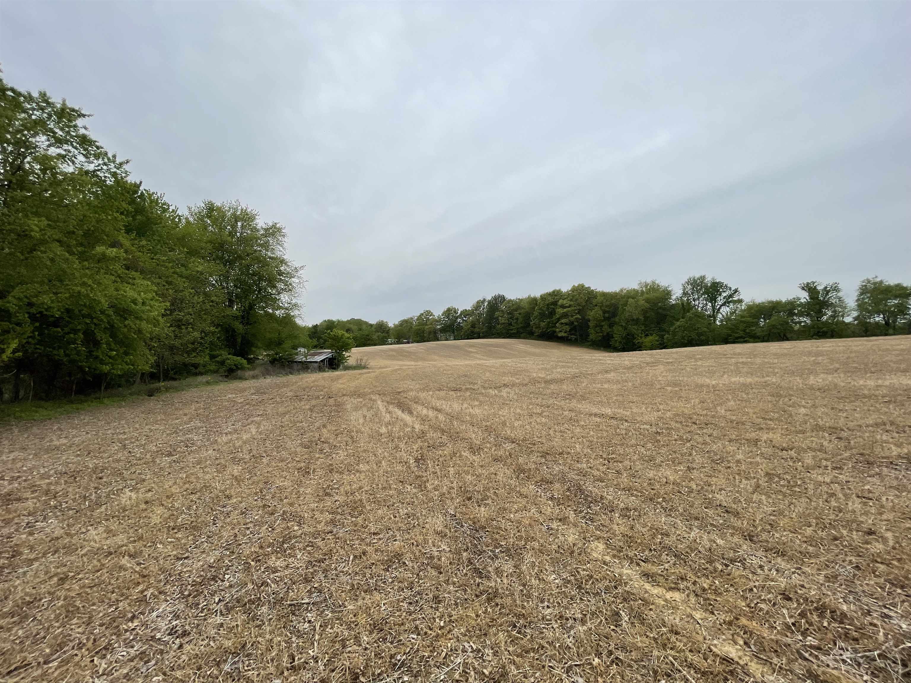 3756 State Route 56 N, Calhoun, Kentucky 42327, 2 Bedrooms Bedrooms, ,1 BathroomBathrooms,Farm,For Sale,State Route 56 N,89807