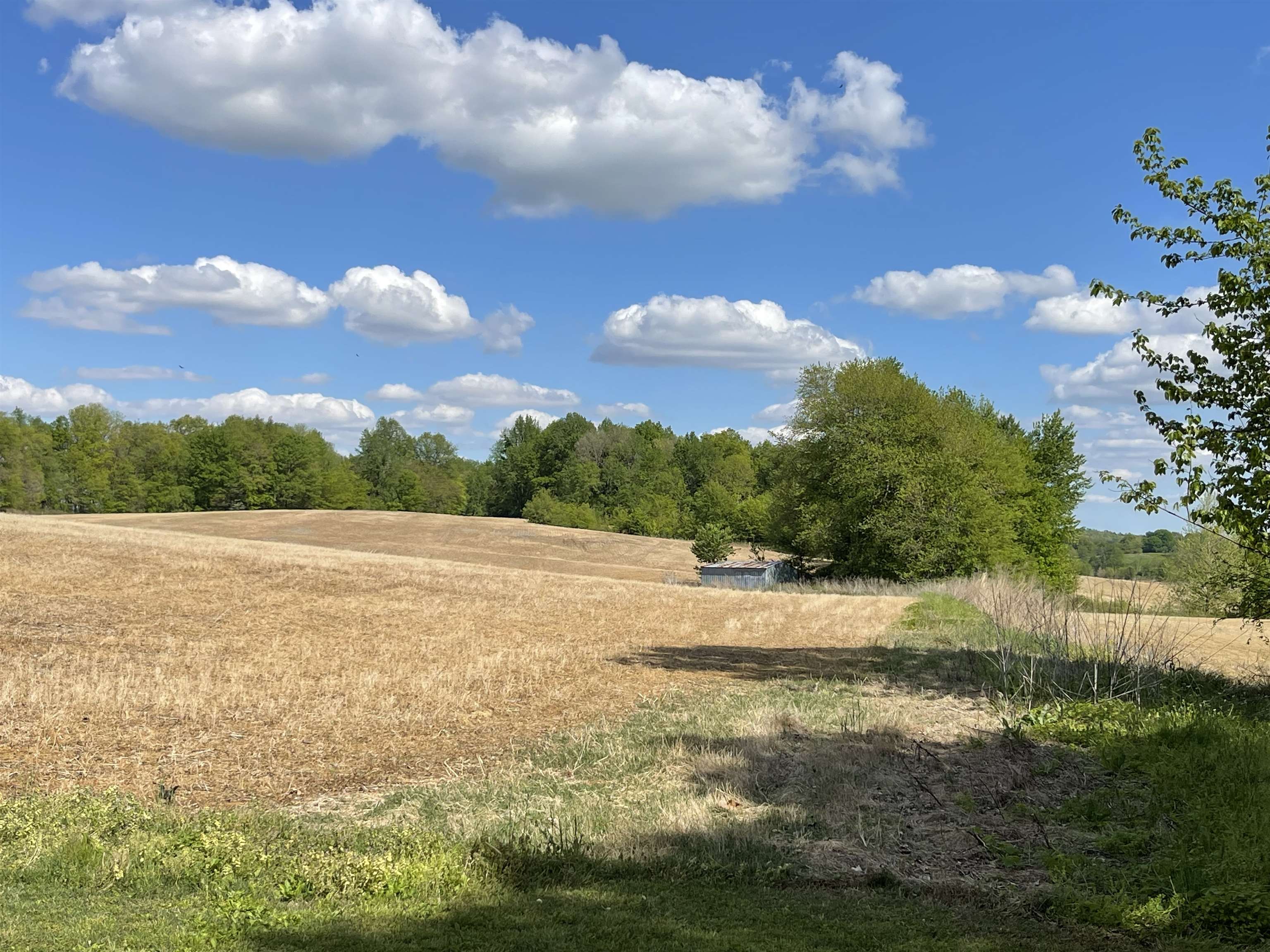 3756 State Route 56 N, Calhoun, Kentucky 42327, 2 Bedrooms Bedrooms, ,1 BathroomBathrooms,Farm,For Sale,State Route 56 N,89807
