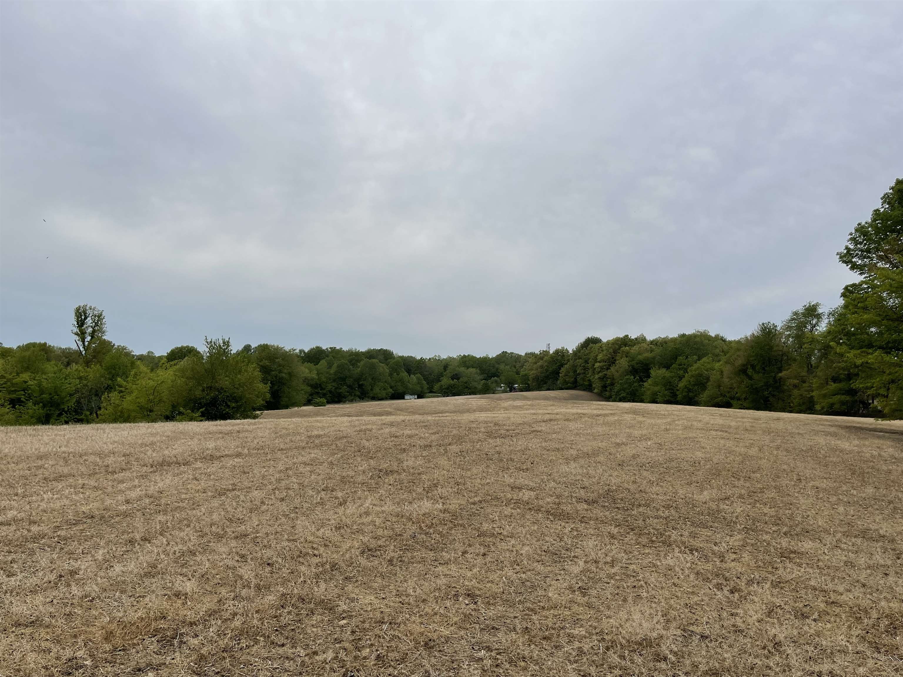 3756 State Route 56 N, Calhoun, Kentucky 42327, 2 Bedrooms Bedrooms, ,1 BathroomBathrooms,Farm,For Sale,State Route 56 N,89807
