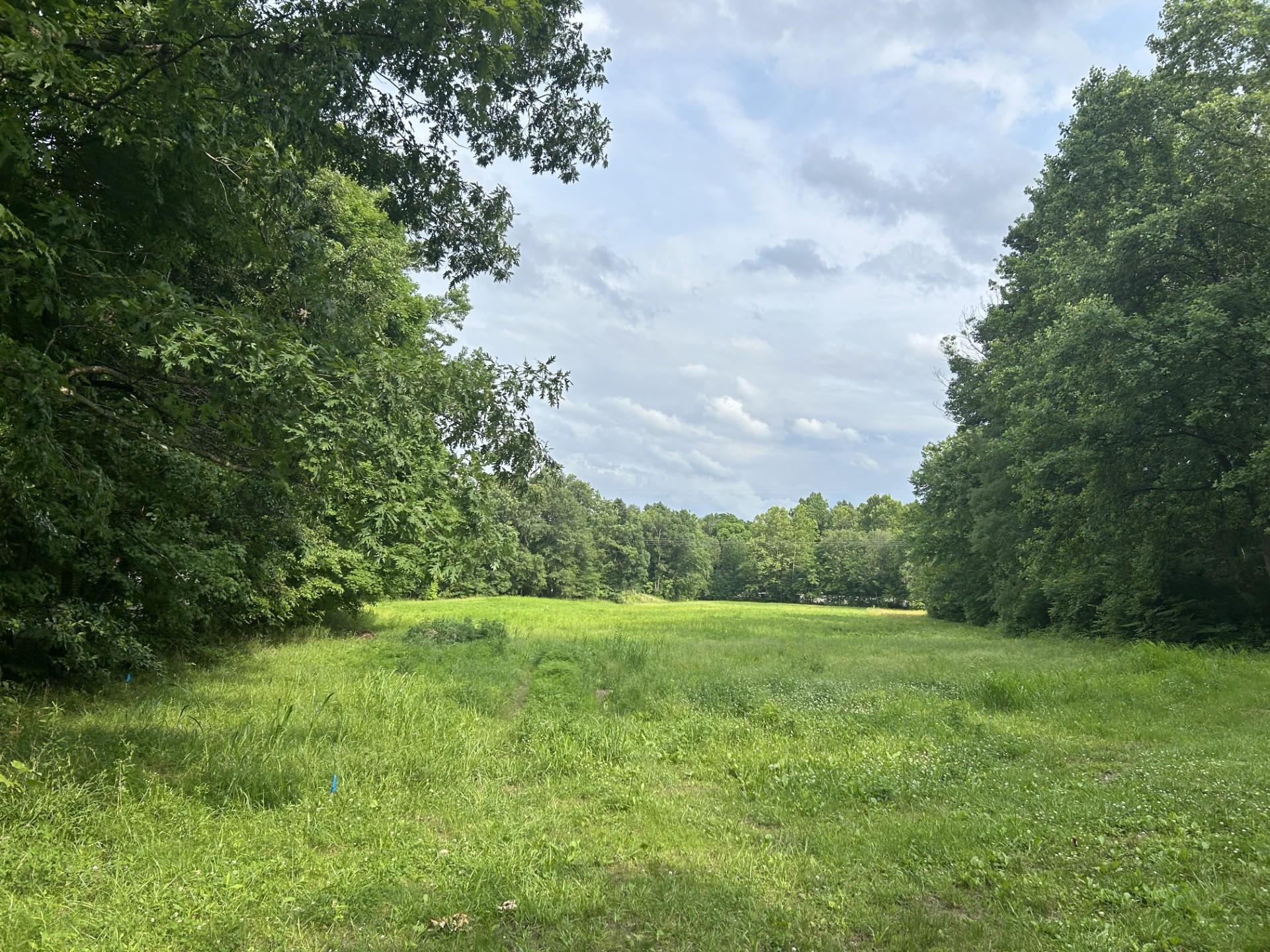 455 Beauchamp Rd, Lewisport, Kentucky 42351, ,Land,For Sale,Beauchamp Rd,89815