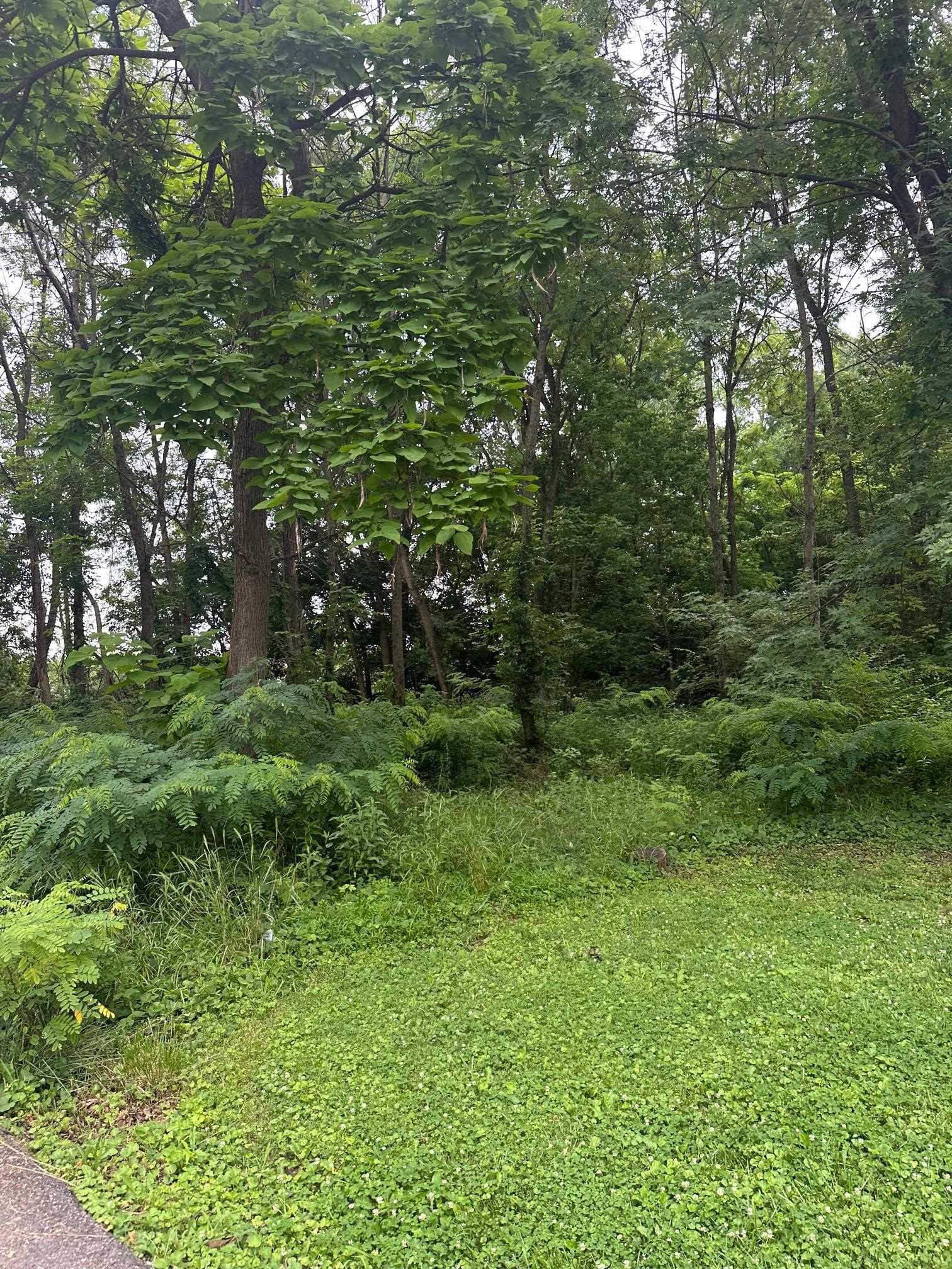 1904 Donald Dr, Louisville, Kentucky 40216, ,Land,For Sale,Donald Dr,89829
