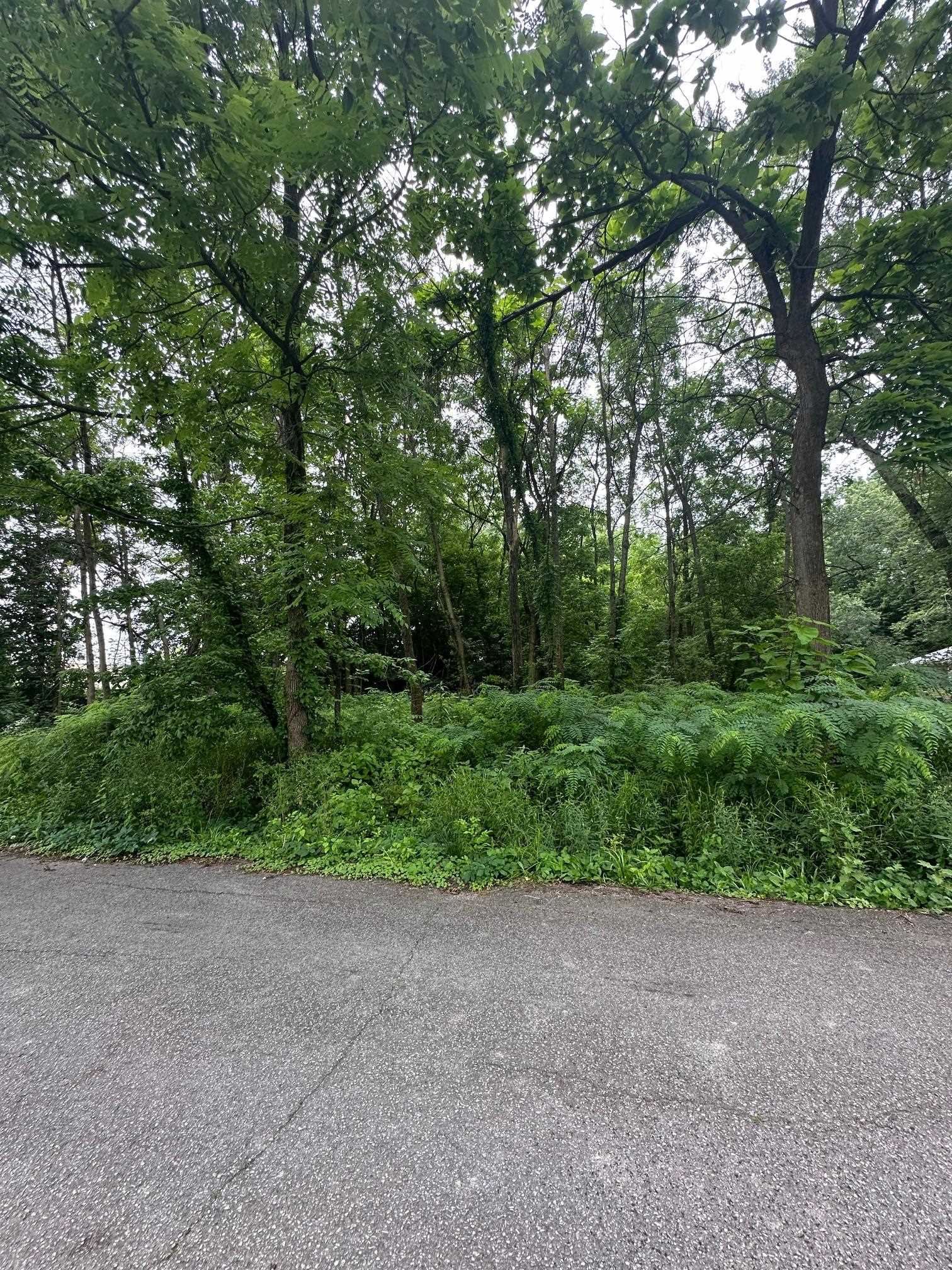 1904 Donald Dr, Louisville, Kentucky 40216, ,Land,For Sale,Donald Dr,89829