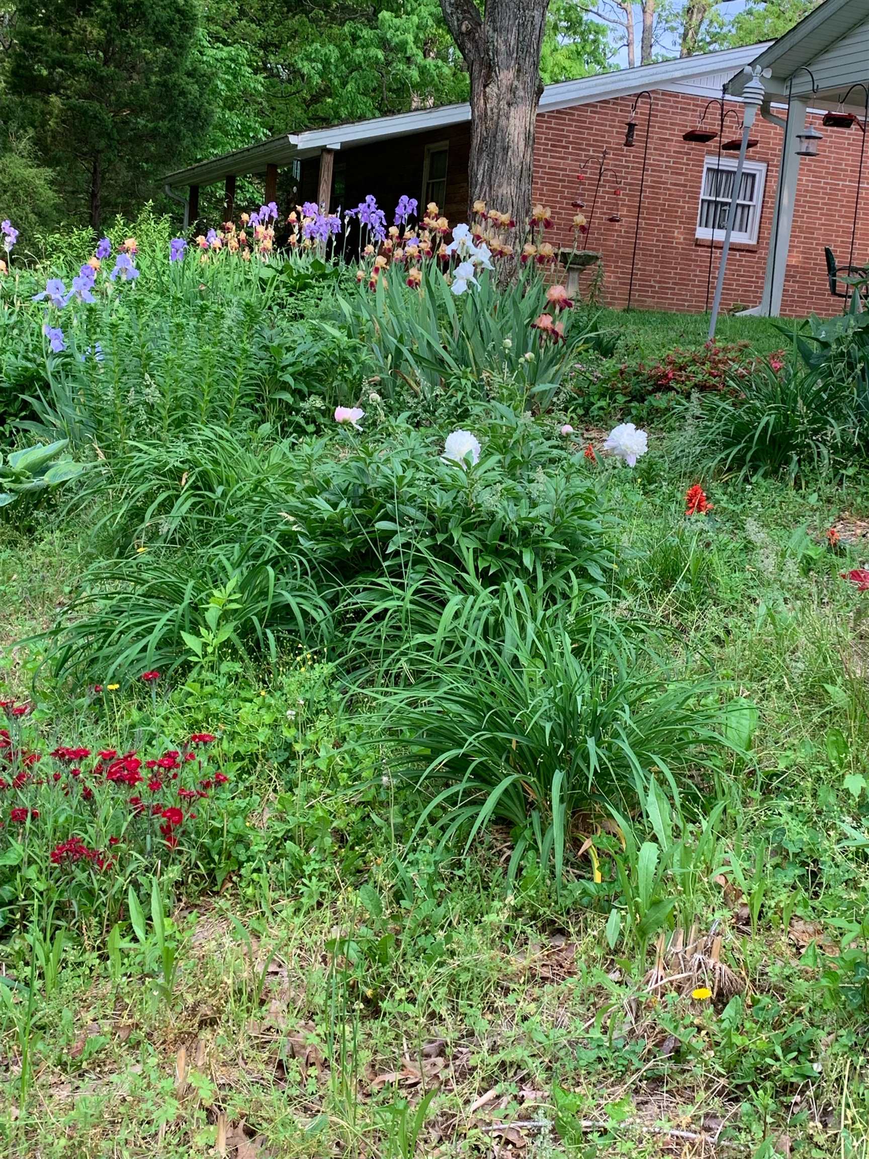 1168 St. Rt. 1544, Horse Branch, Kentucky 42349, 3 Bedrooms Bedrooms, ,2 BathroomsBathrooms,Farm,For Sale,St. Rt. 1544,89831