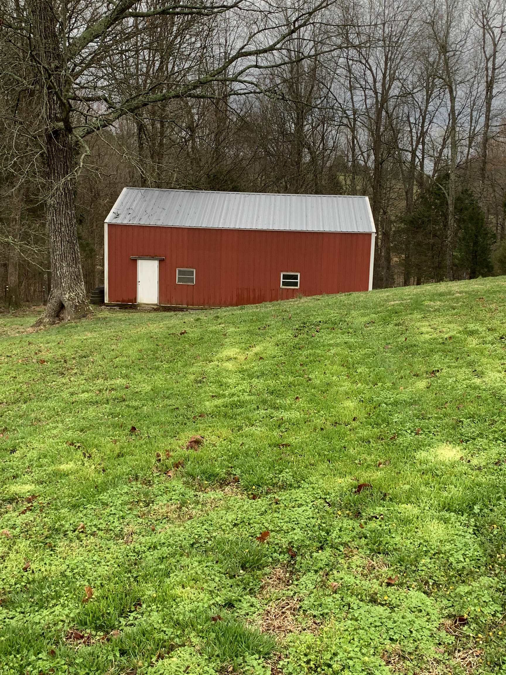 1168 St. Rt. 1544, Horse Branch, Kentucky 42349, 3 Bedrooms Bedrooms, ,2 BathroomsBathrooms,Farm,For Sale,St. Rt. 1544,89831