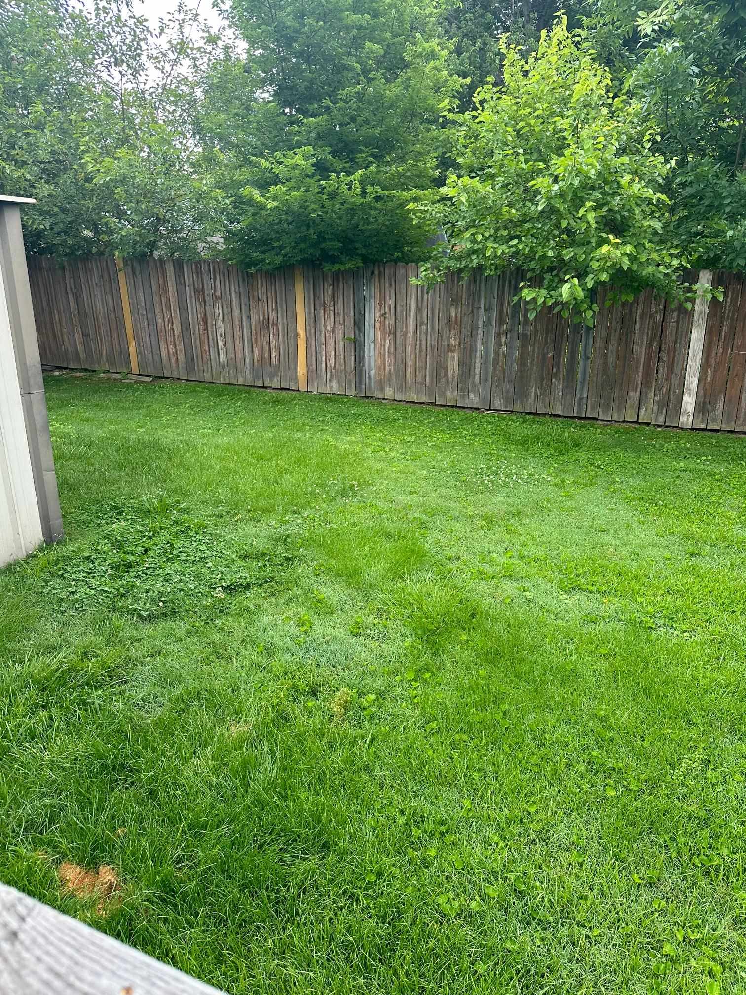 5123 Terry Rd, Louisville, Kentucky 40216, 2 Bedrooms Bedrooms, ,2 BathroomsBathrooms,Single Family Residence,For Sale,Terry Rd,89861