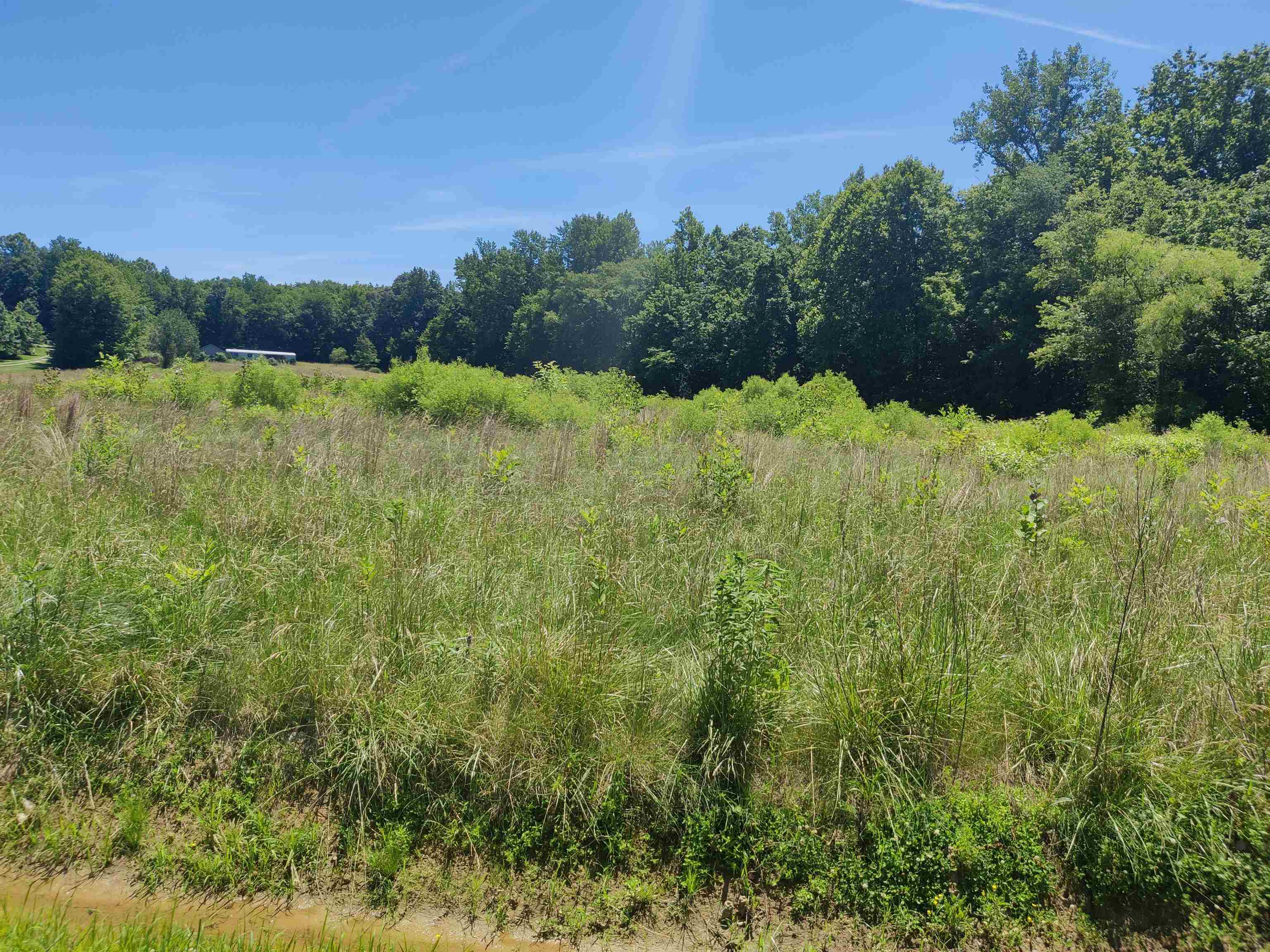 4410 & 4420 Poplar Log Bridge Rd, Philpot, Kentucky 42366, ,Land,For Sale,& 4420 Poplar Log Bridge Rd,89872