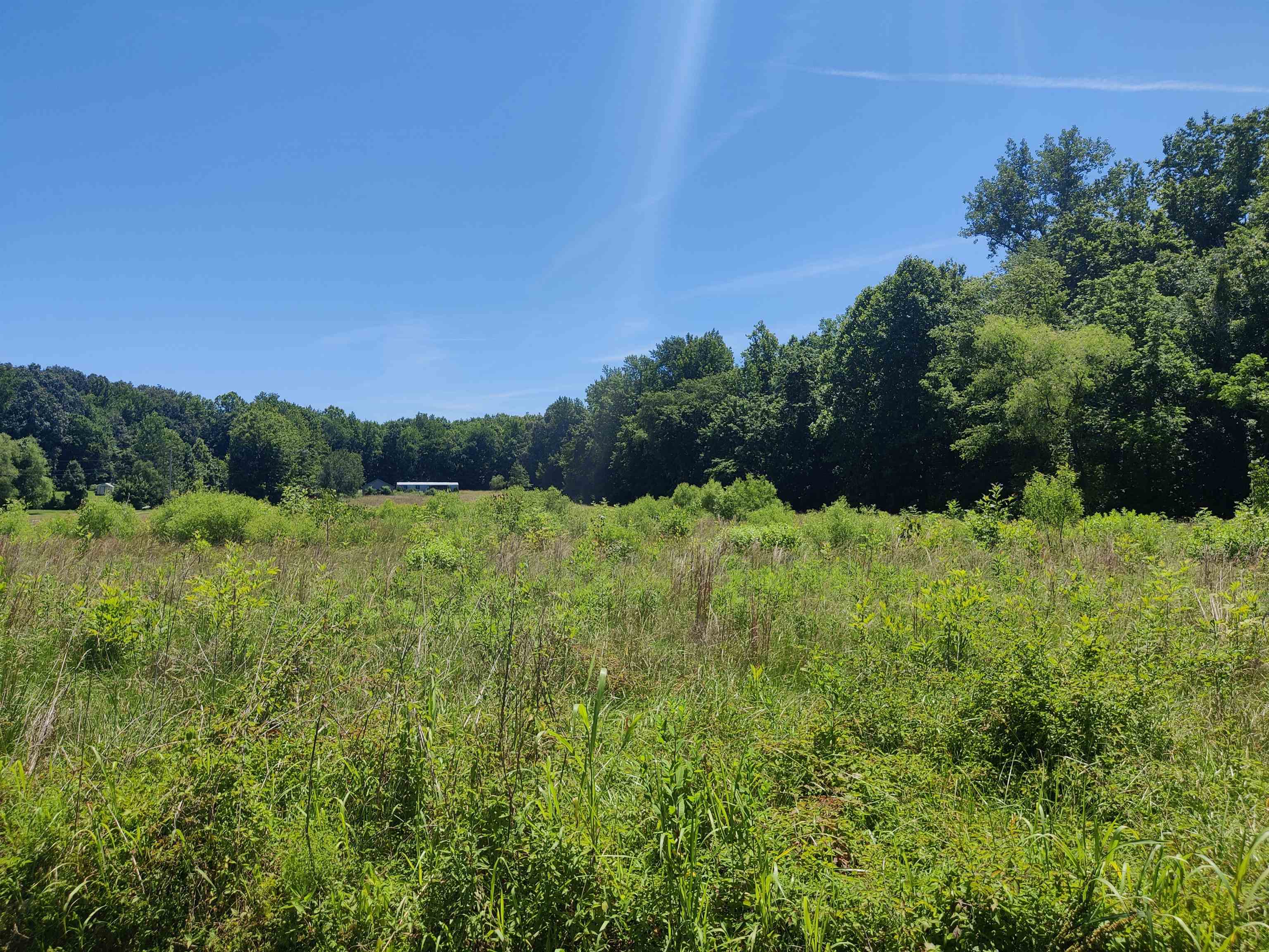 4410 & 4420 Poplar Log Bridge Rd, Philpot, Kentucky 42366, ,Land,For Sale,& 4420 Poplar Log Bridge Rd,89872