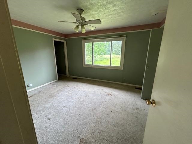 1667 Greens Chapel Road, Greenville, Kentucky 42345, 3 Bedrooms Bedrooms, ,2 BathroomsBathrooms,Single Family Residence,For Sale,Greens Chapel Road,89880