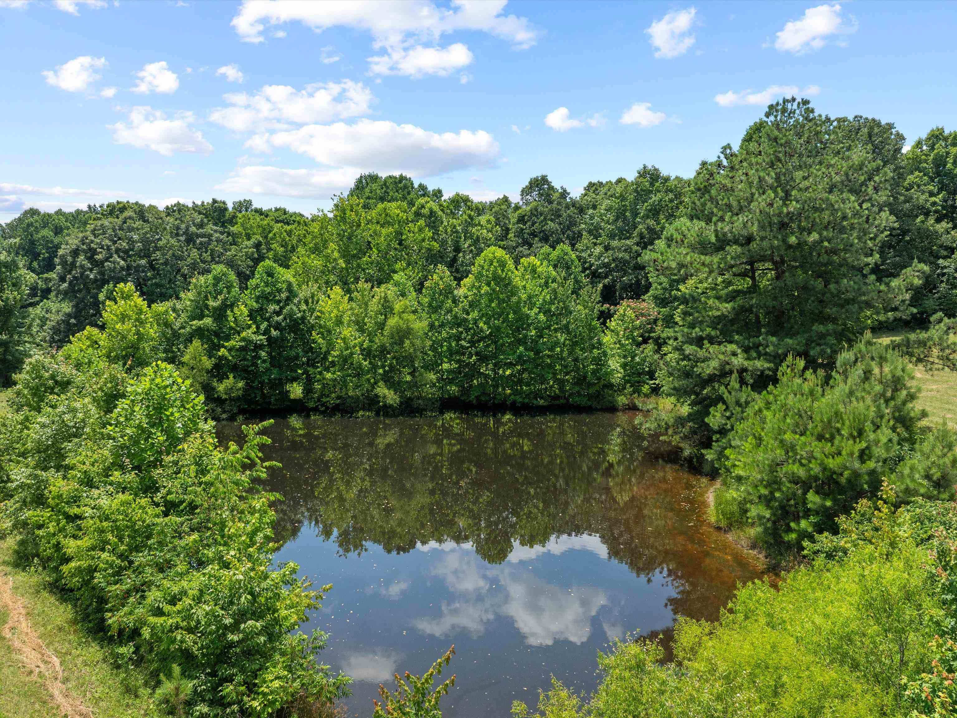 11 Rearden Ln, Hawesville, Kentucky 42348, ,Farm,For Sale,Rearden Ln,89936