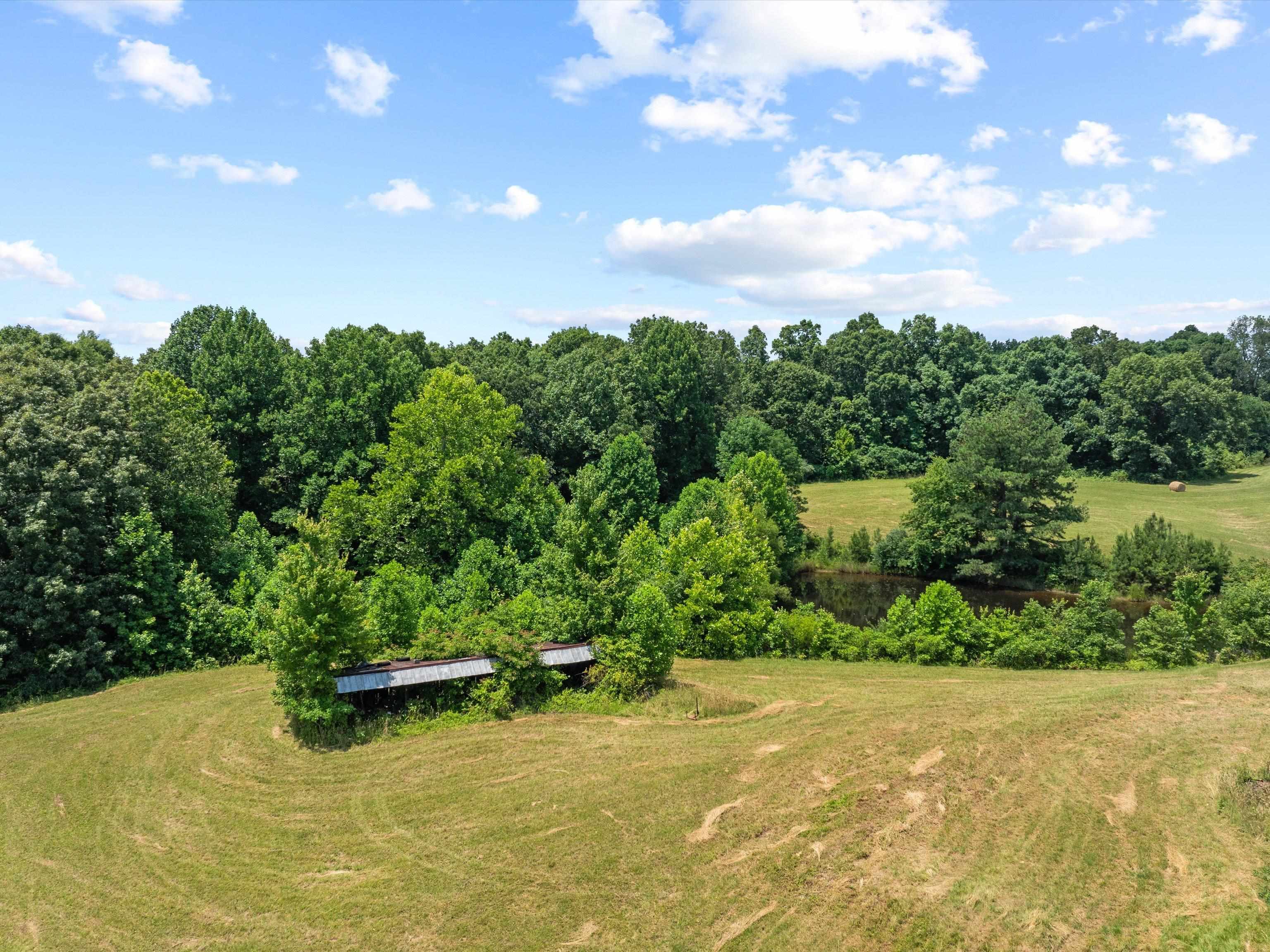 11 Rearden Ln, Hawesville, Kentucky 42348, ,Farm,For Sale,Rearden Ln,89936