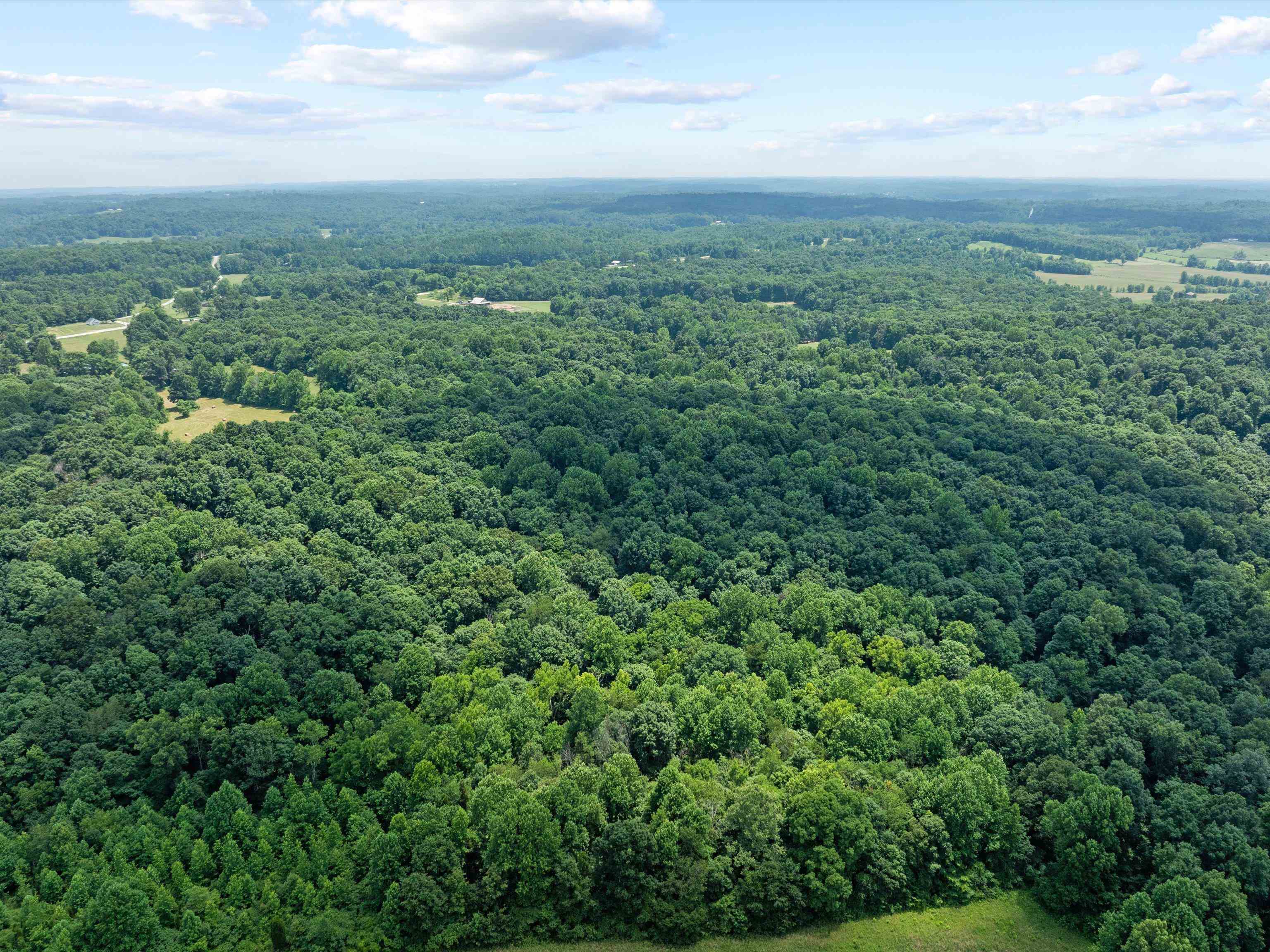11 Rearden Ln, Hawesville, Kentucky 42348, ,Farm,For Sale,Rearden Ln,89936