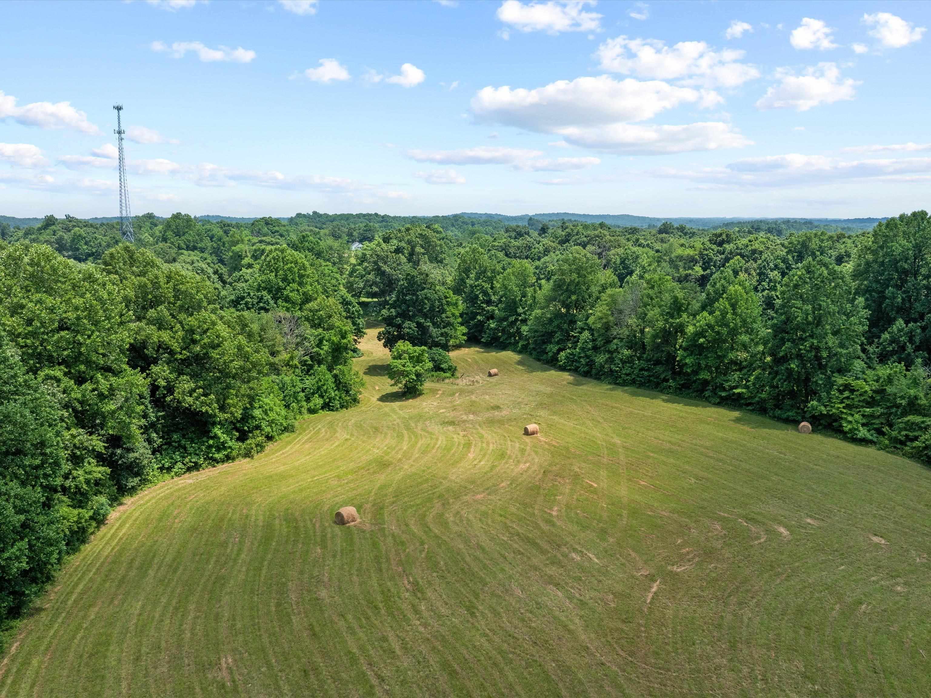11 Rearden Ln, Hawesville, Kentucky 42348, ,Farm,For Sale,Rearden Ln,89936