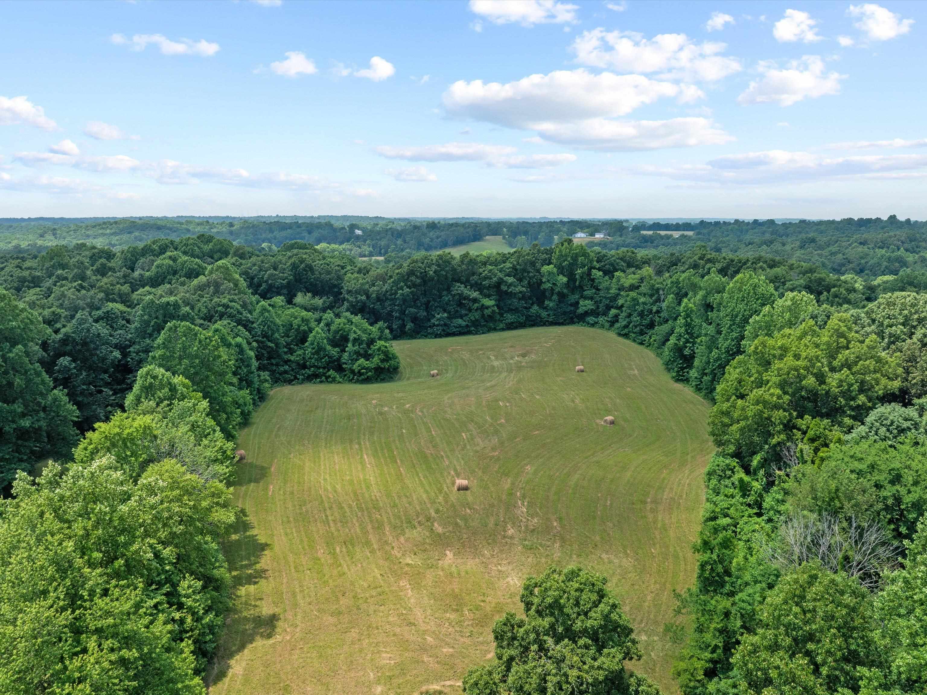 11 Rearden Ln, Hawesville, Kentucky 42348, ,Farm,For Sale,Rearden Ln,89936
