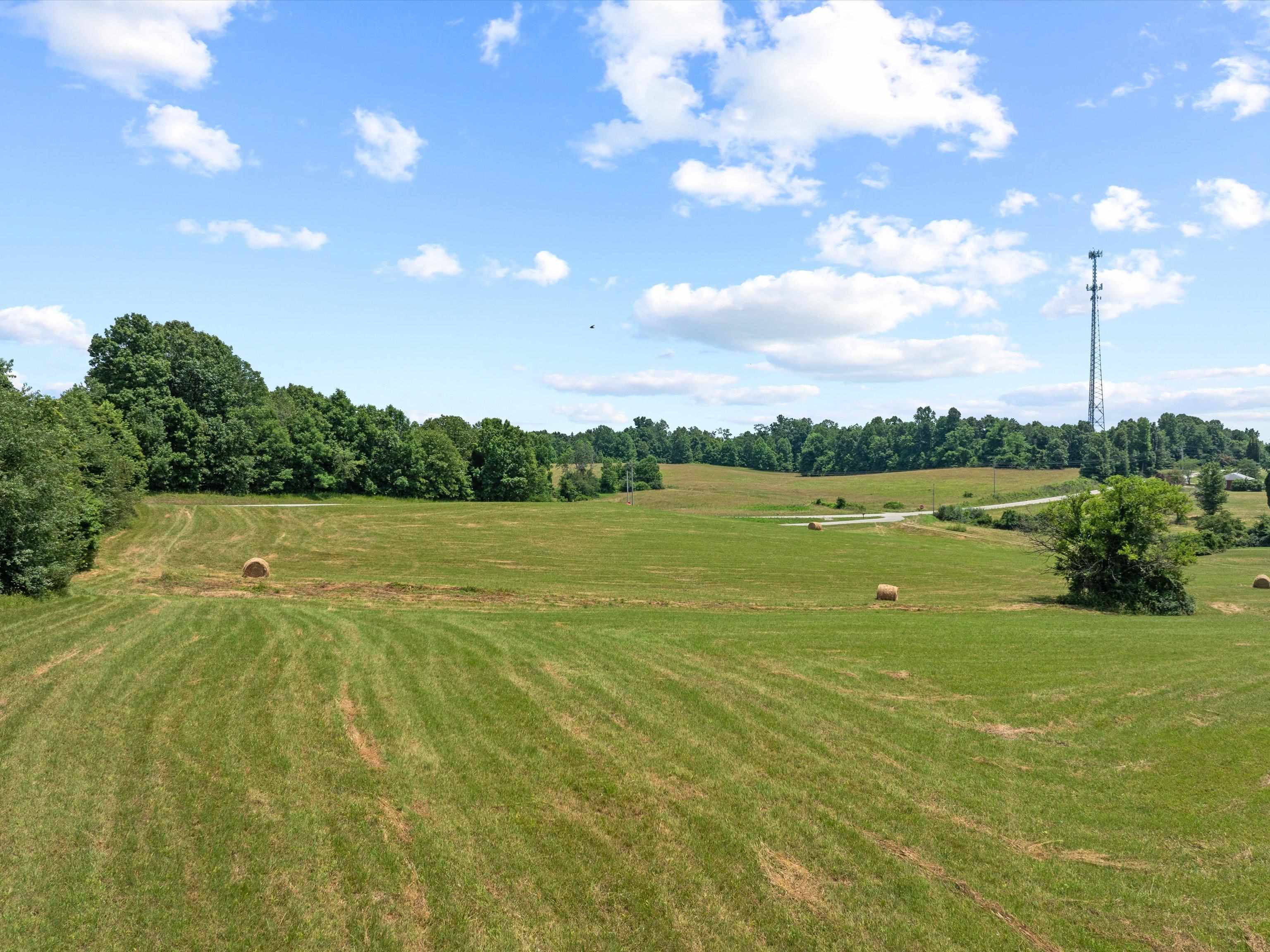 11 Rearden Ln, Hawesville, Kentucky 42348, ,Farm,For Sale,Rearden Ln,89936