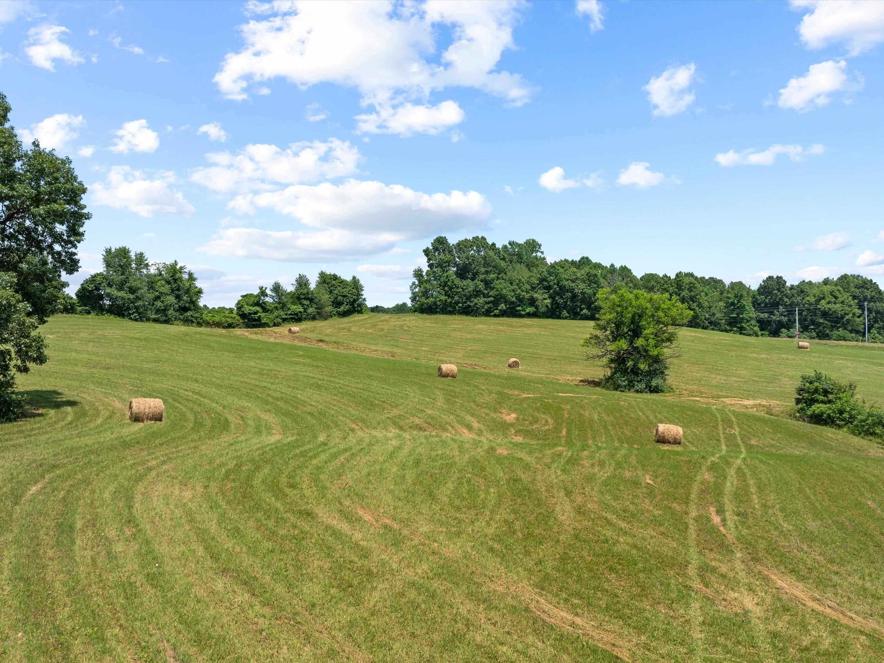 11 Rearden Ln, Hawesville, Kentucky 42348, ,Farm,For Sale,Rearden Ln,89936