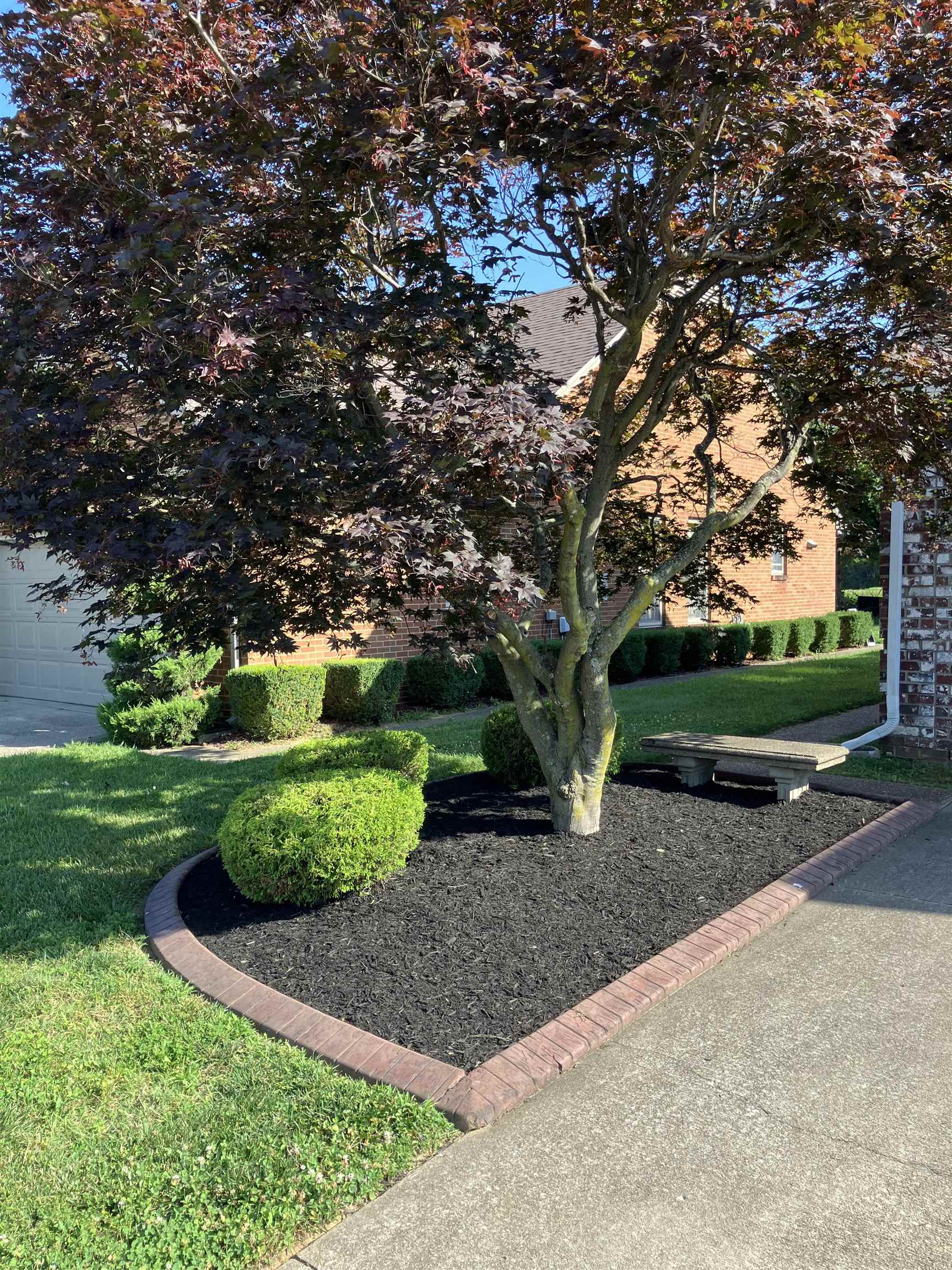 1409 Coventry Lane, Owensboro, Kentucky 42301, 3 Bedrooms Bedrooms, ,2 BathroomsBathrooms,Single Family Residence,For Sale,Coventry Lane,89938
