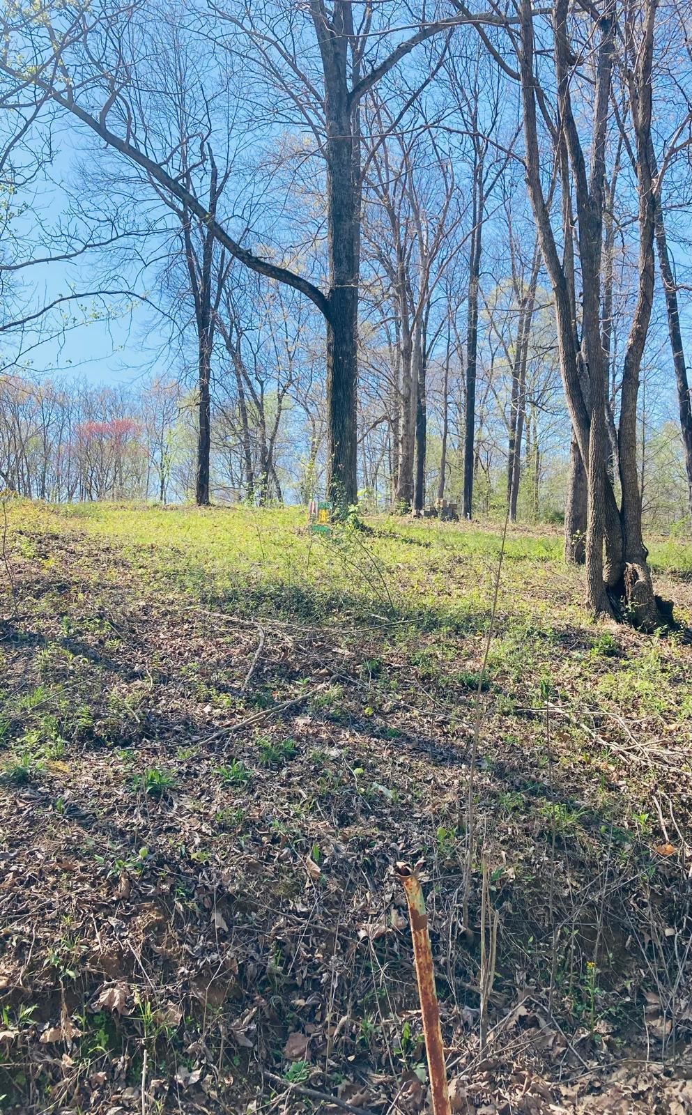 117 Dinah Drive, Beaver Dam, Kentucky 42320, ,Land,For Sale,Dinah Drive,89953