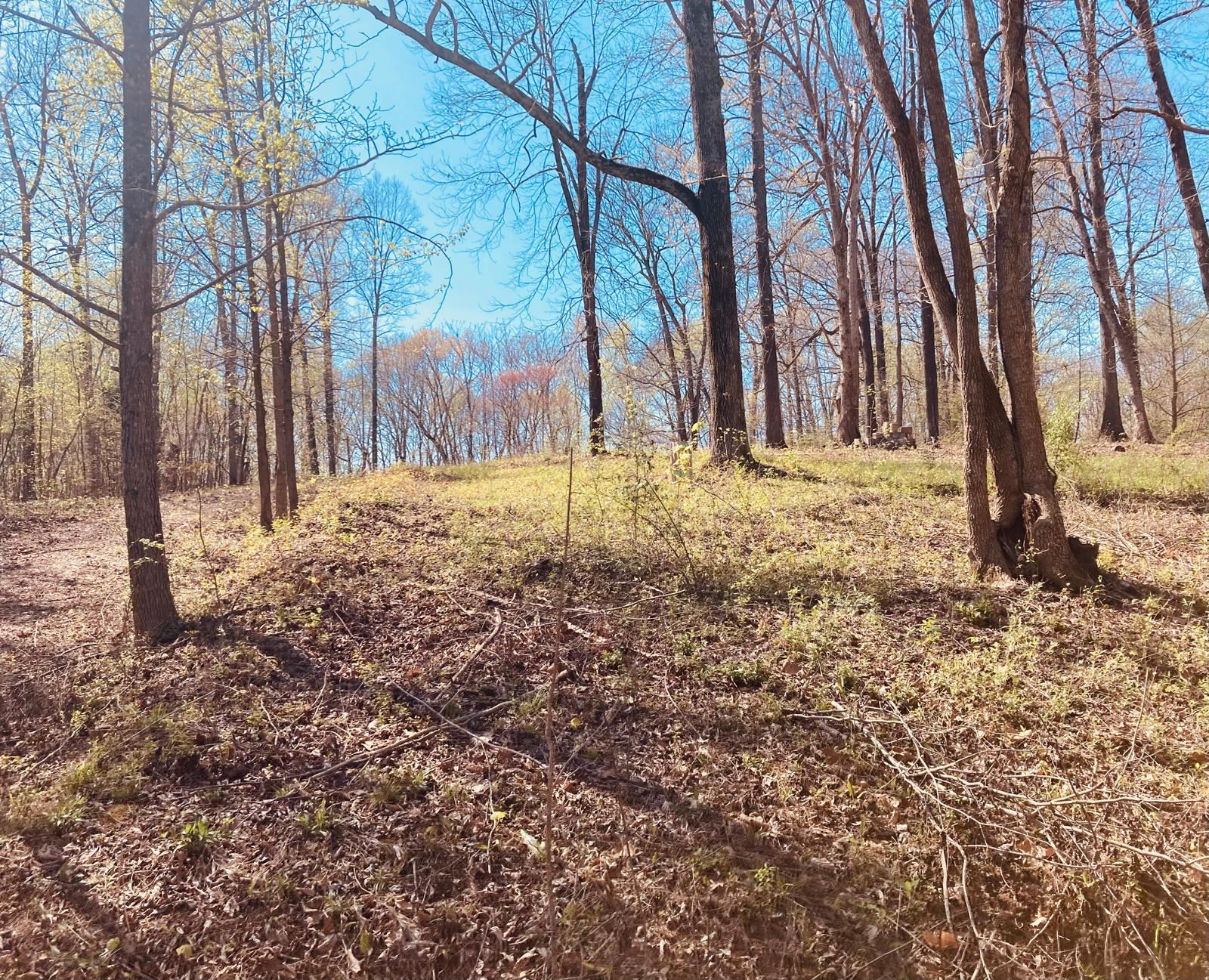 117 Dinah Drive, Beaver Dam, Kentucky 42320, ,Land,For Sale,Dinah Drive,89953