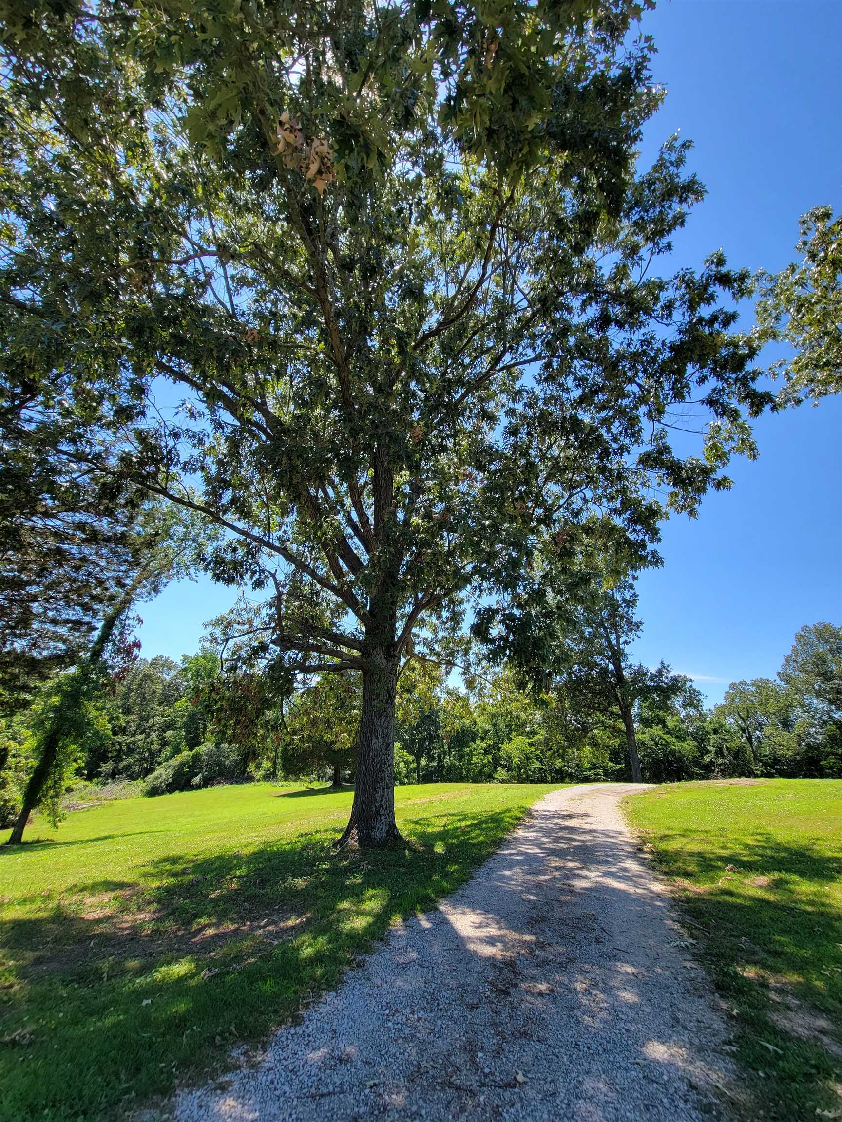 7466 US HWY 62, Beaver Dam, Kentucky 42320, 3 Bedrooms Bedrooms, ,2 BathroomsBathrooms,Single Family Residence,For Sale,US HWY 62,89960