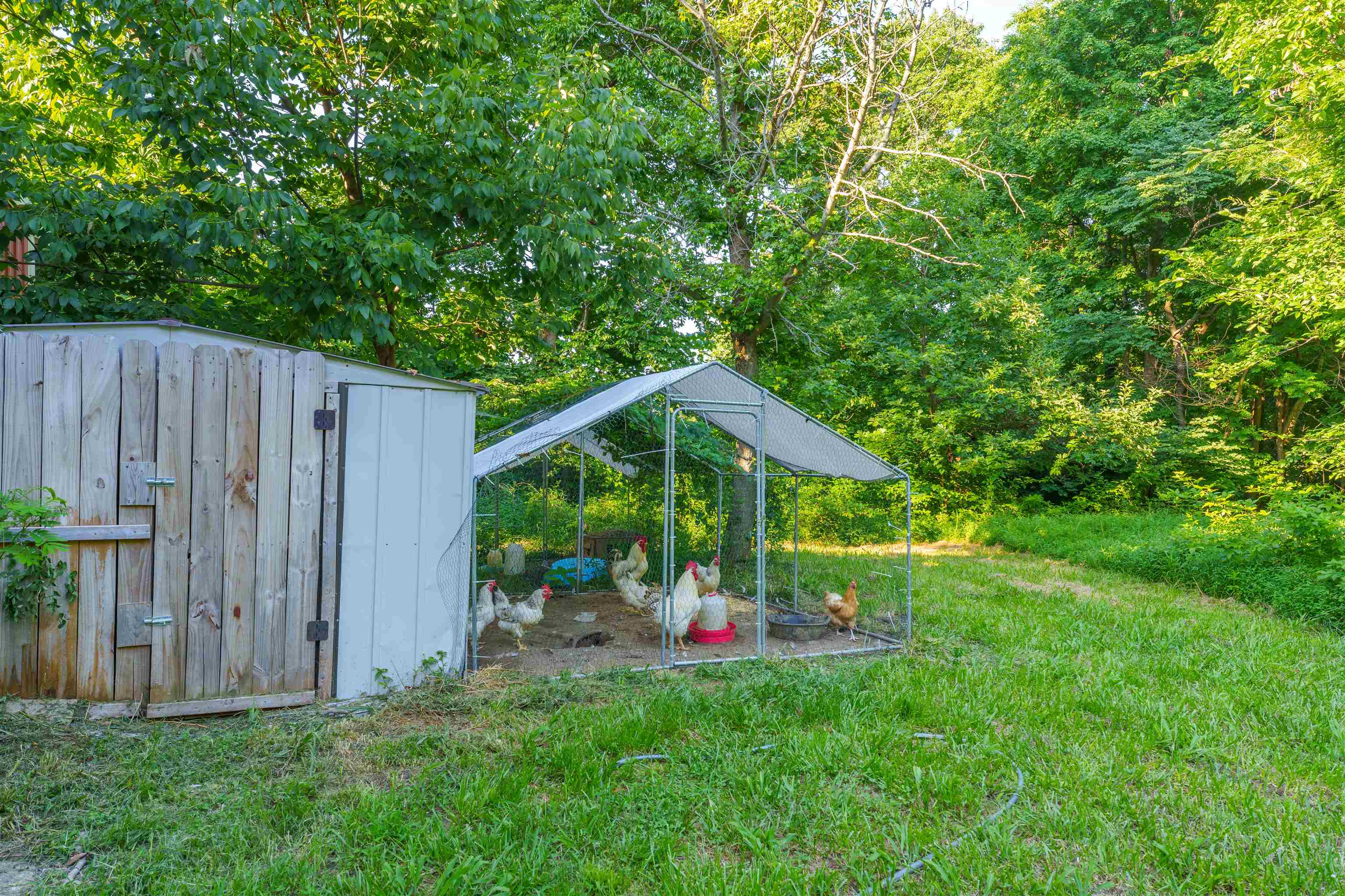 8445 Pleasant Hill Rd., Henderson, Kentucky 42420, 3 Bedrooms Bedrooms, ,2 BathroomsBathrooms,Single Family Residence,For Sale,Pleasant Hill Rd.,90042