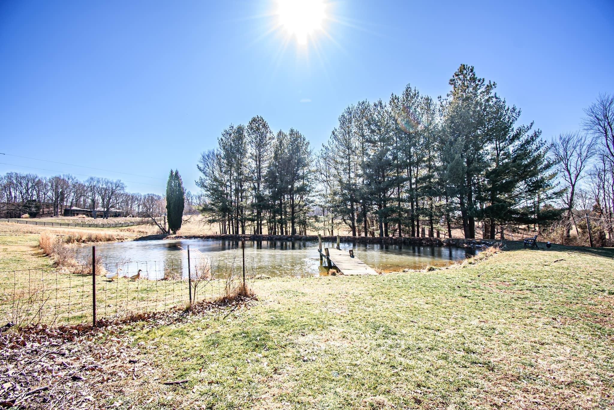 5900 (B) Ditto Road, Philpot, Kentucky 42366, ,Land,For Sale,Ditto Road,90061