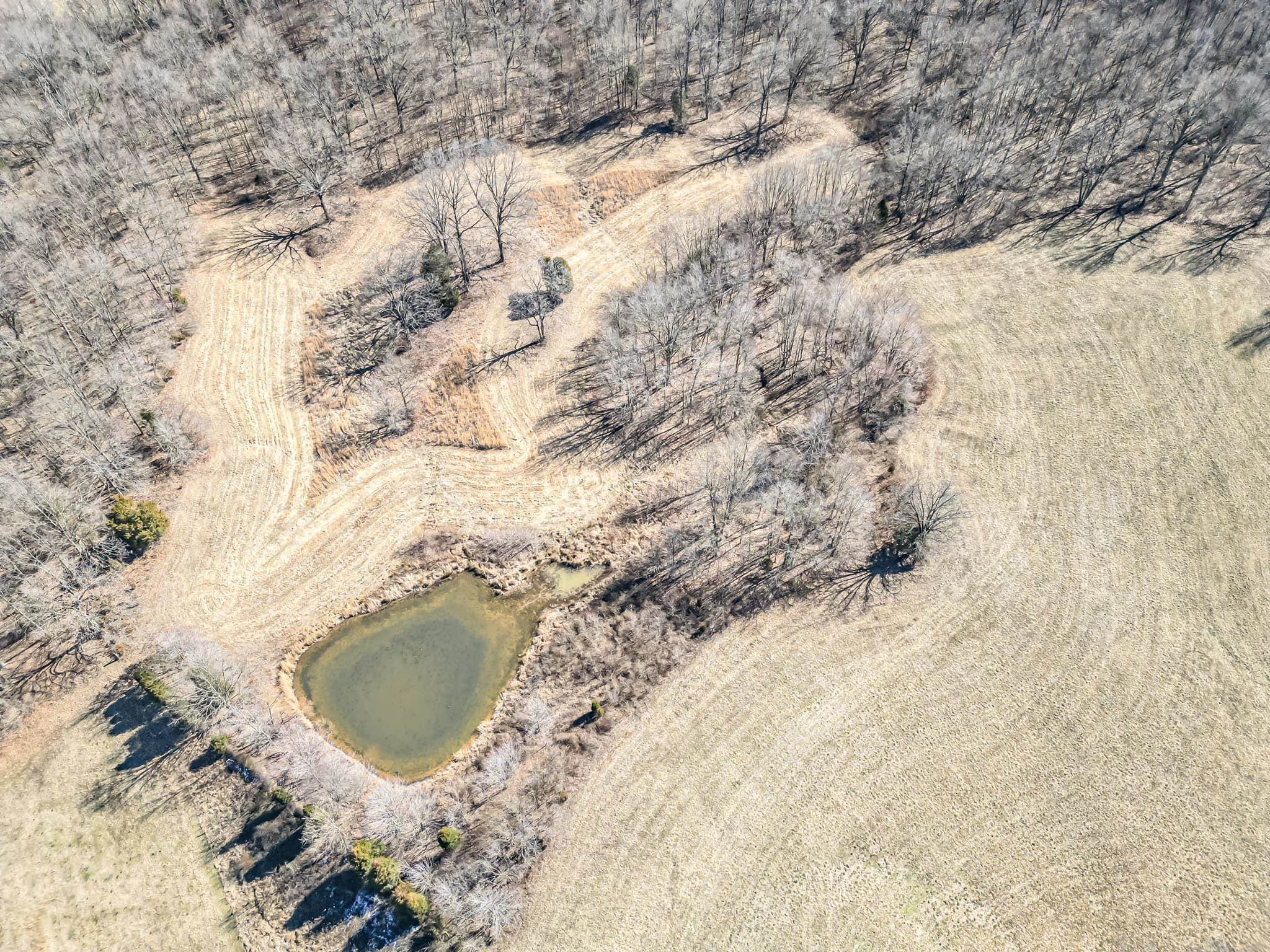 5900 (B) Ditto Road, Philpot, Kentucky 42366, ,Land,For Sale,Ditto Road,90061