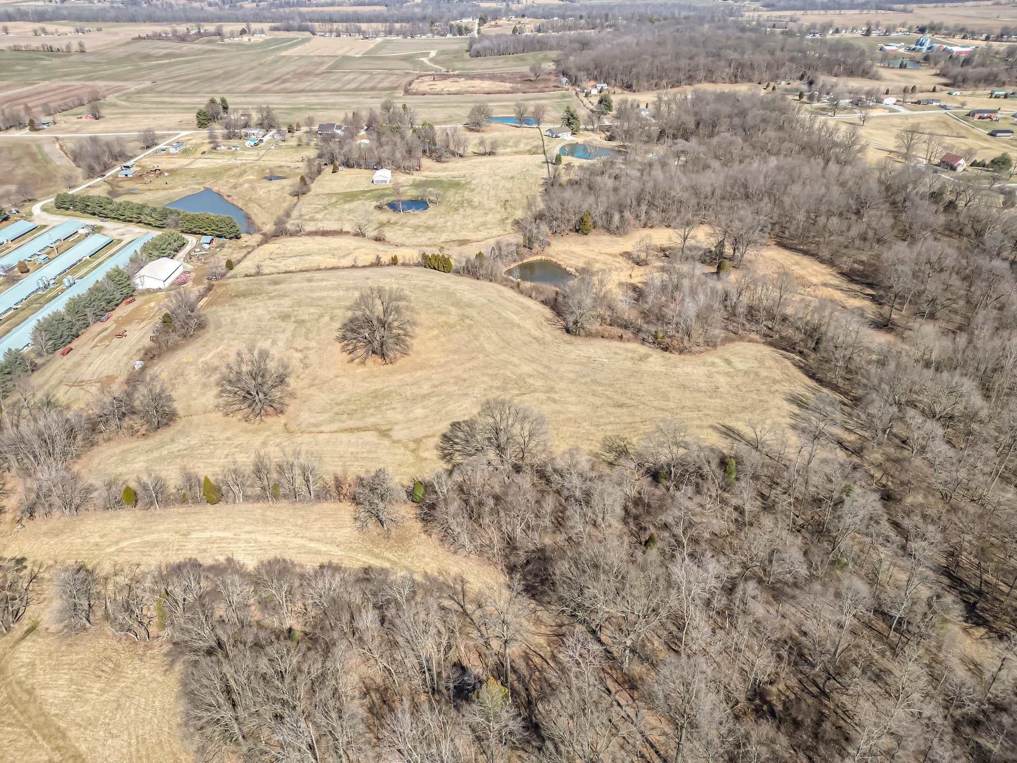 5900 (B) Ditto Road, Philpot, Kentucky 42366, ,Land,For Sale,Ditto Road,90061