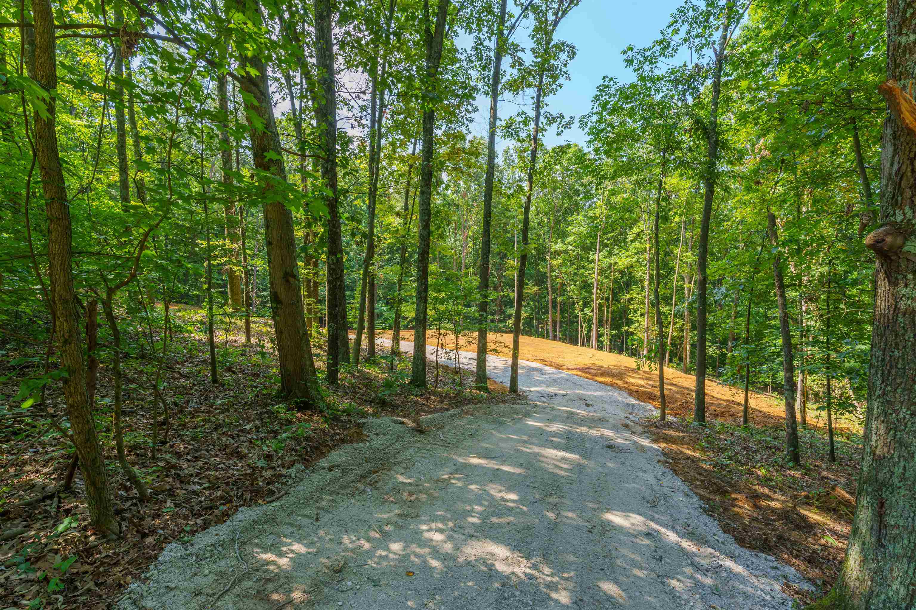 3601 Hwy 657, Lewisport, Kentucky 42351, ,Land,For Sale,Hwy 657,90110
