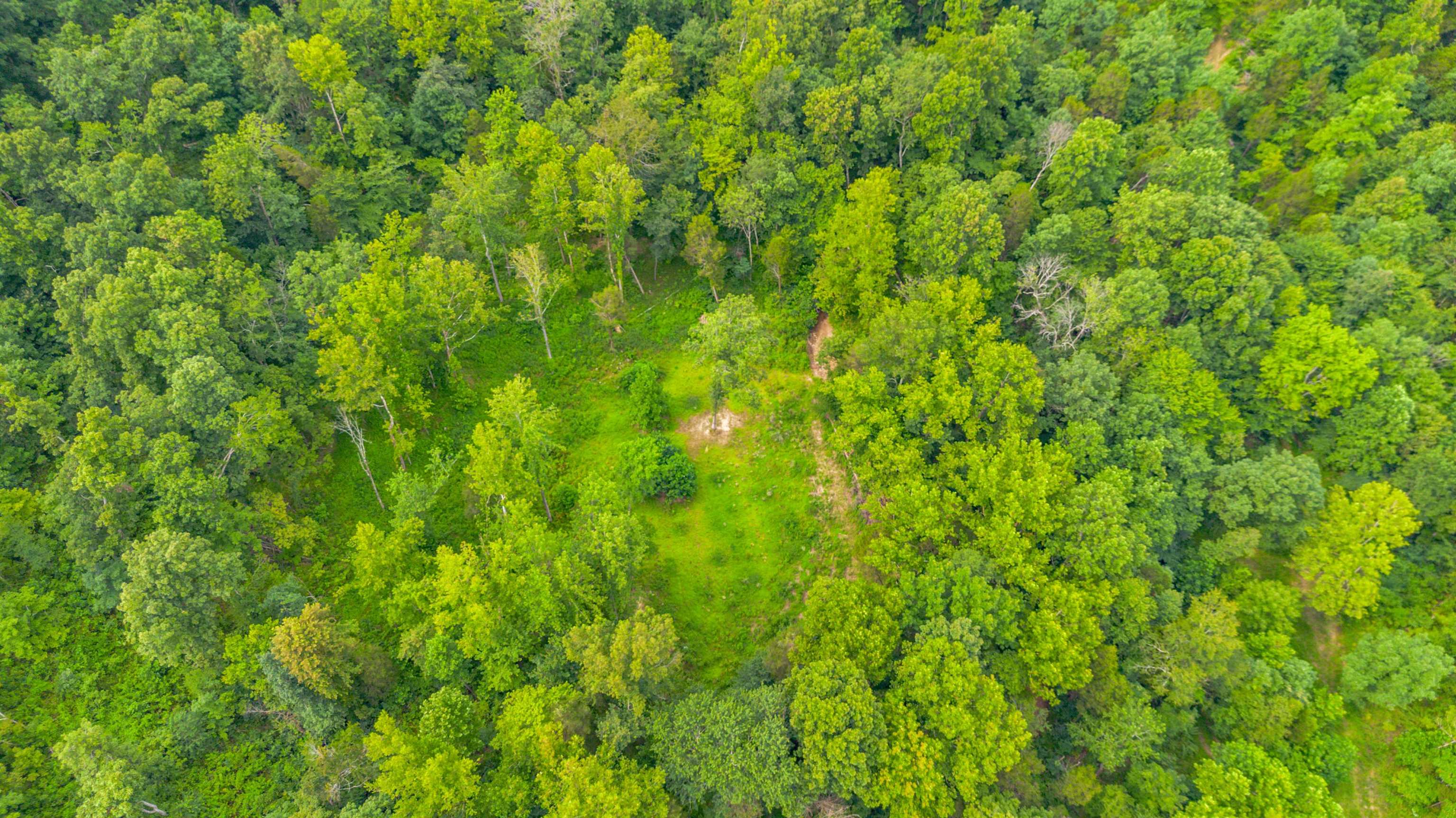 16149 OWENSBORO RD, Falls of Rough, Kentucky 40119, 2 Bedrooms Bedrooms, ,1 BathroomBathrooms,Ranch,For Sale,OWENSBORO RD,90132
