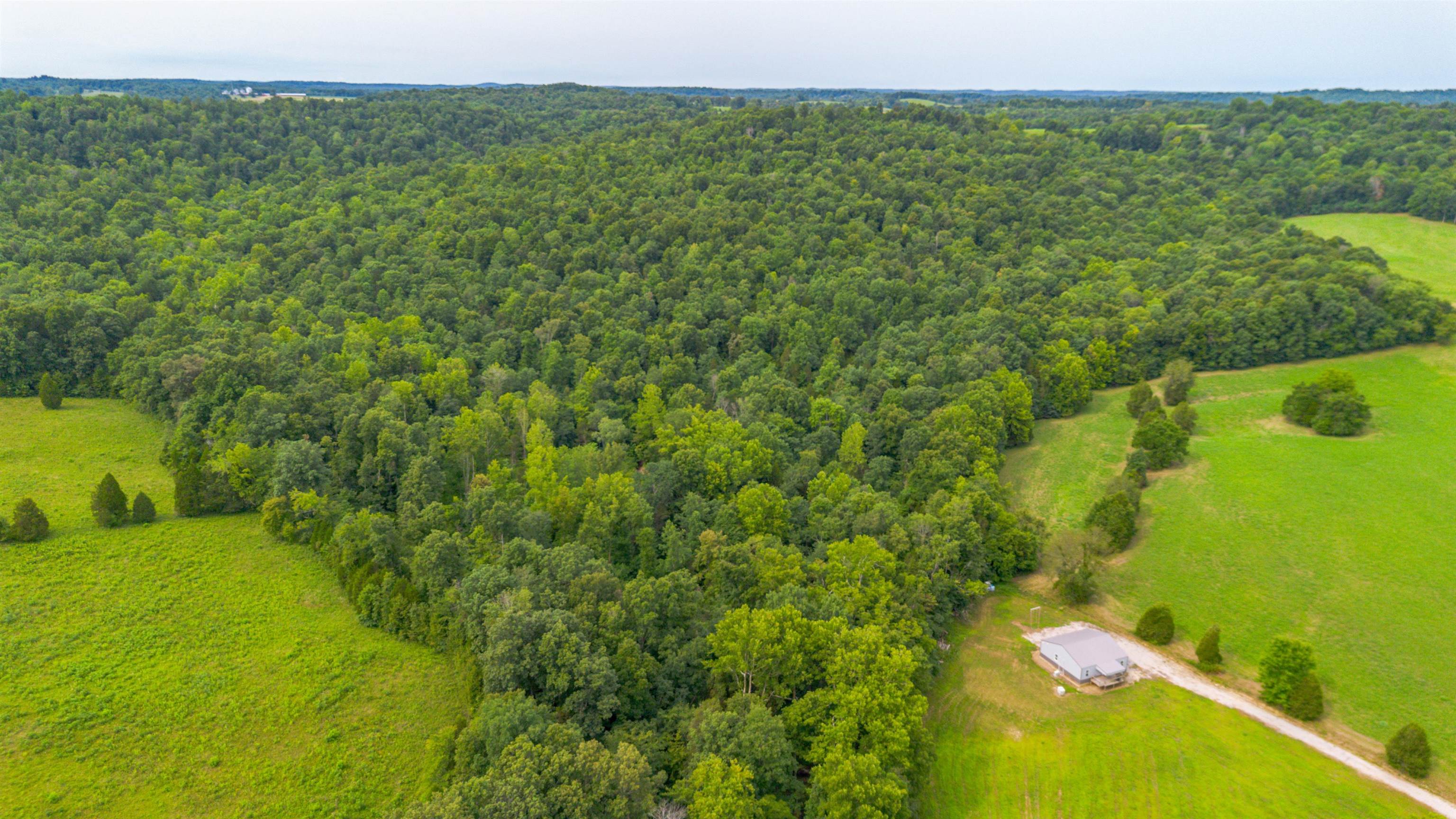 16149 OWENSBORO RD, Falls of Rough, Kentucky 40119, 2 Bedrooms Bedrooms, ,1 BathroomBathrooms,Ranch,For Sale,OWENSBORO RD,90132