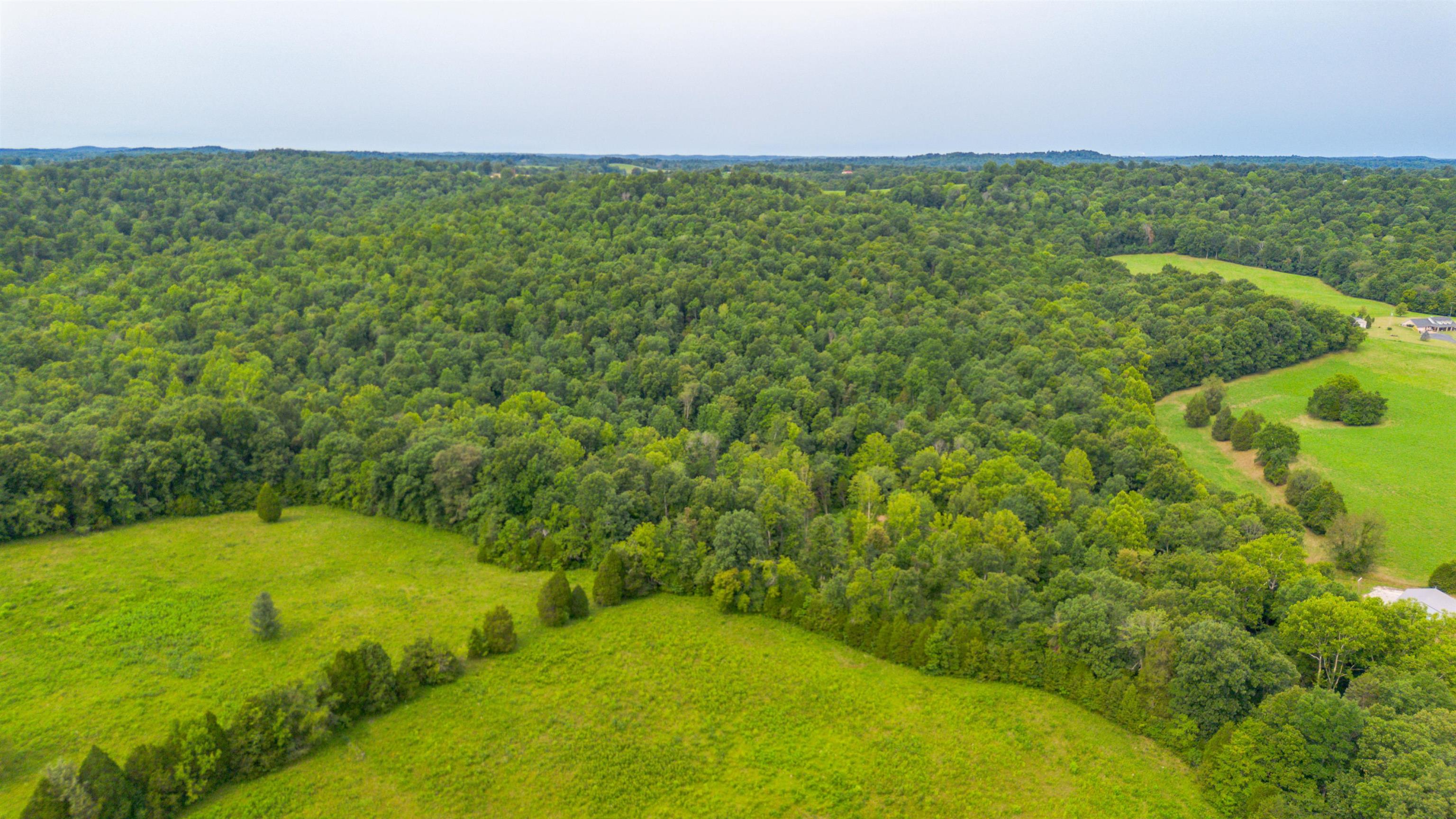 16149 OWENSBORO RD, Falls of Rough, Kentucky 40119, 2 Bedrooms Bedrooms, ,1 BathroomBathrooms,Ranch,For Sale,OWENSBORO RD,90132