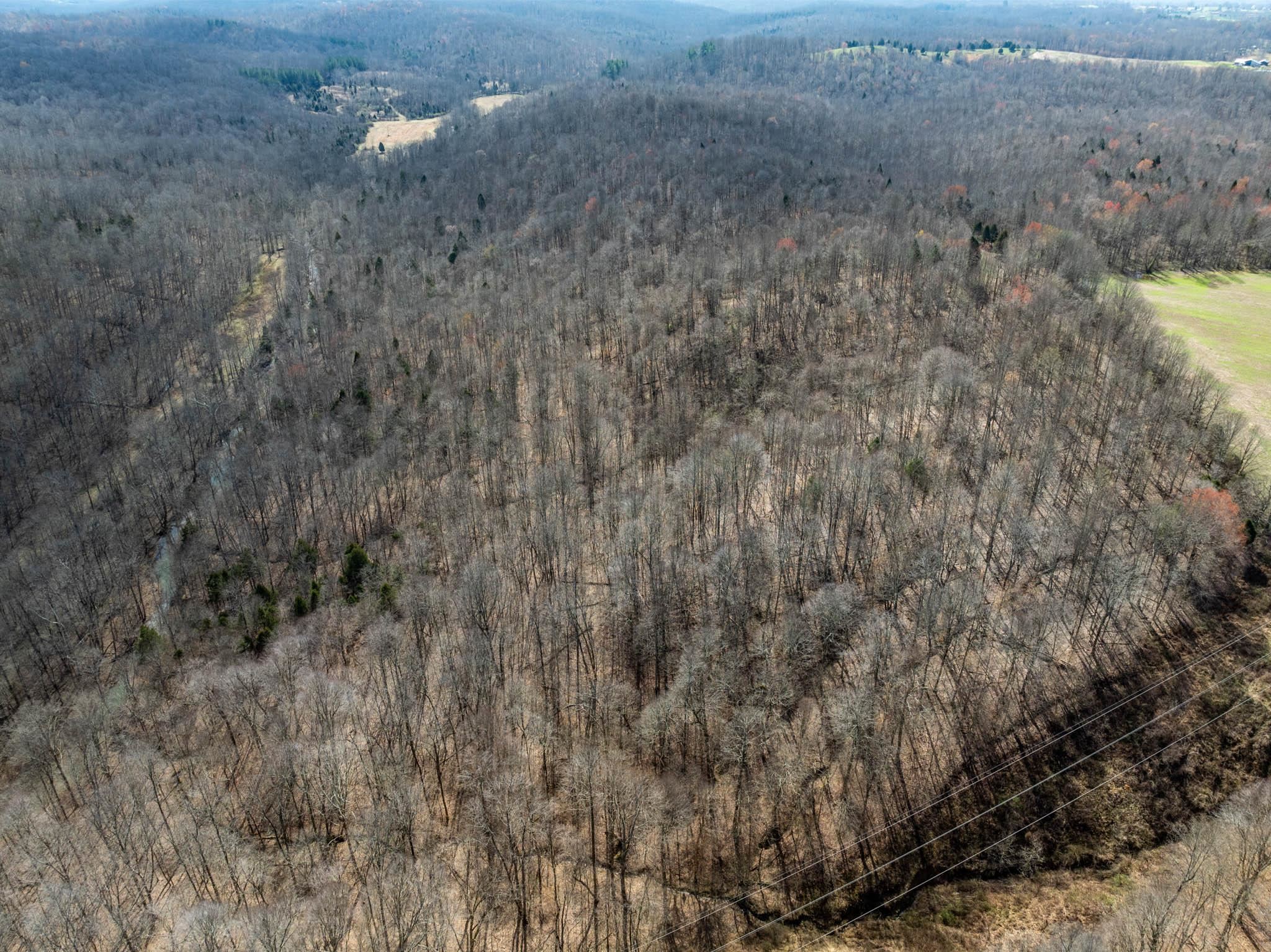 000 Moxley Lane, Fordsville, Kentucky 42343, ,Land,For Sale,Moxley Lane,90154