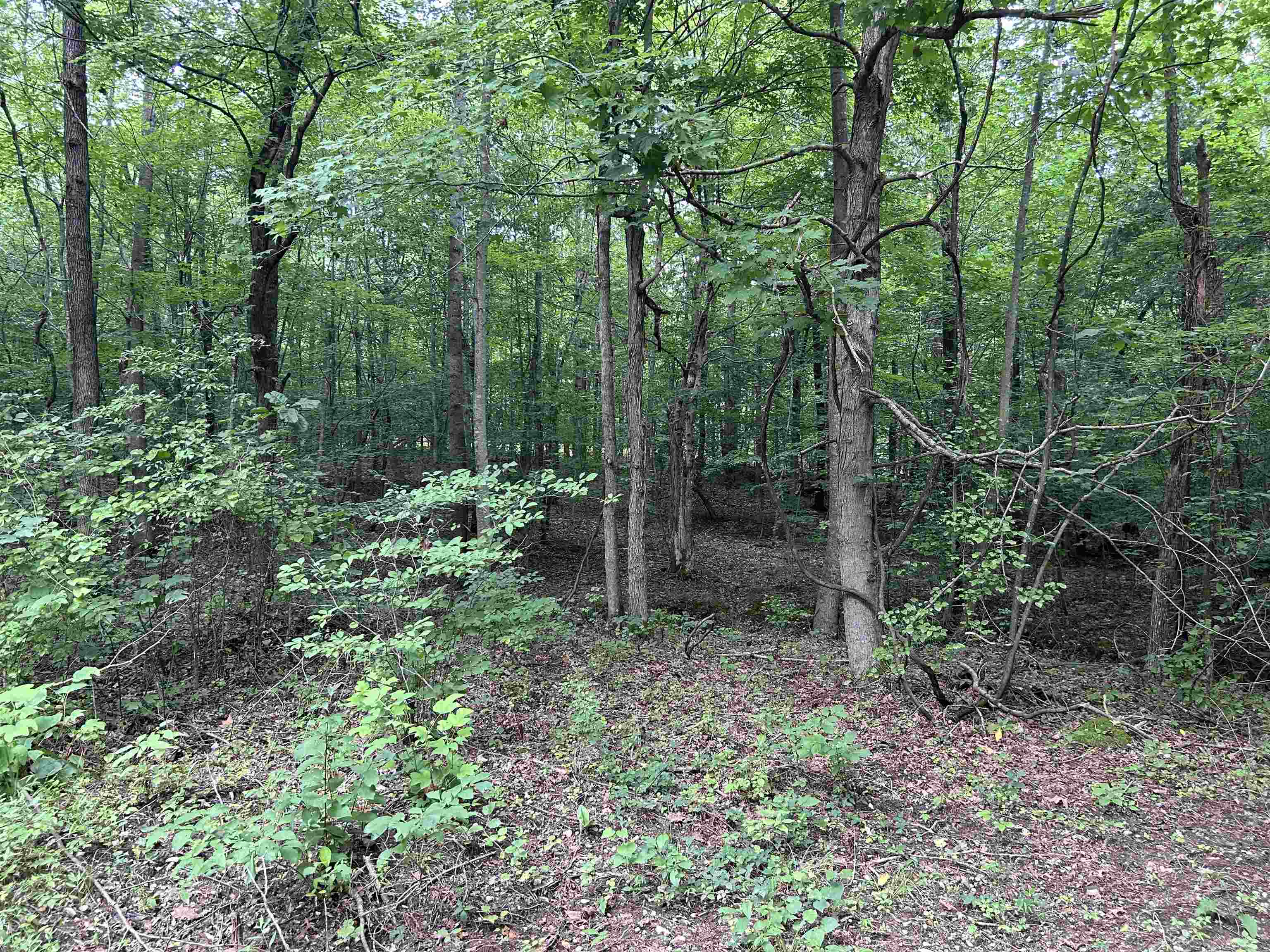 000 Moxley Lane, Fordsville, Kentucky 42343, ,Land,For Sale,Moxley Lane,90154