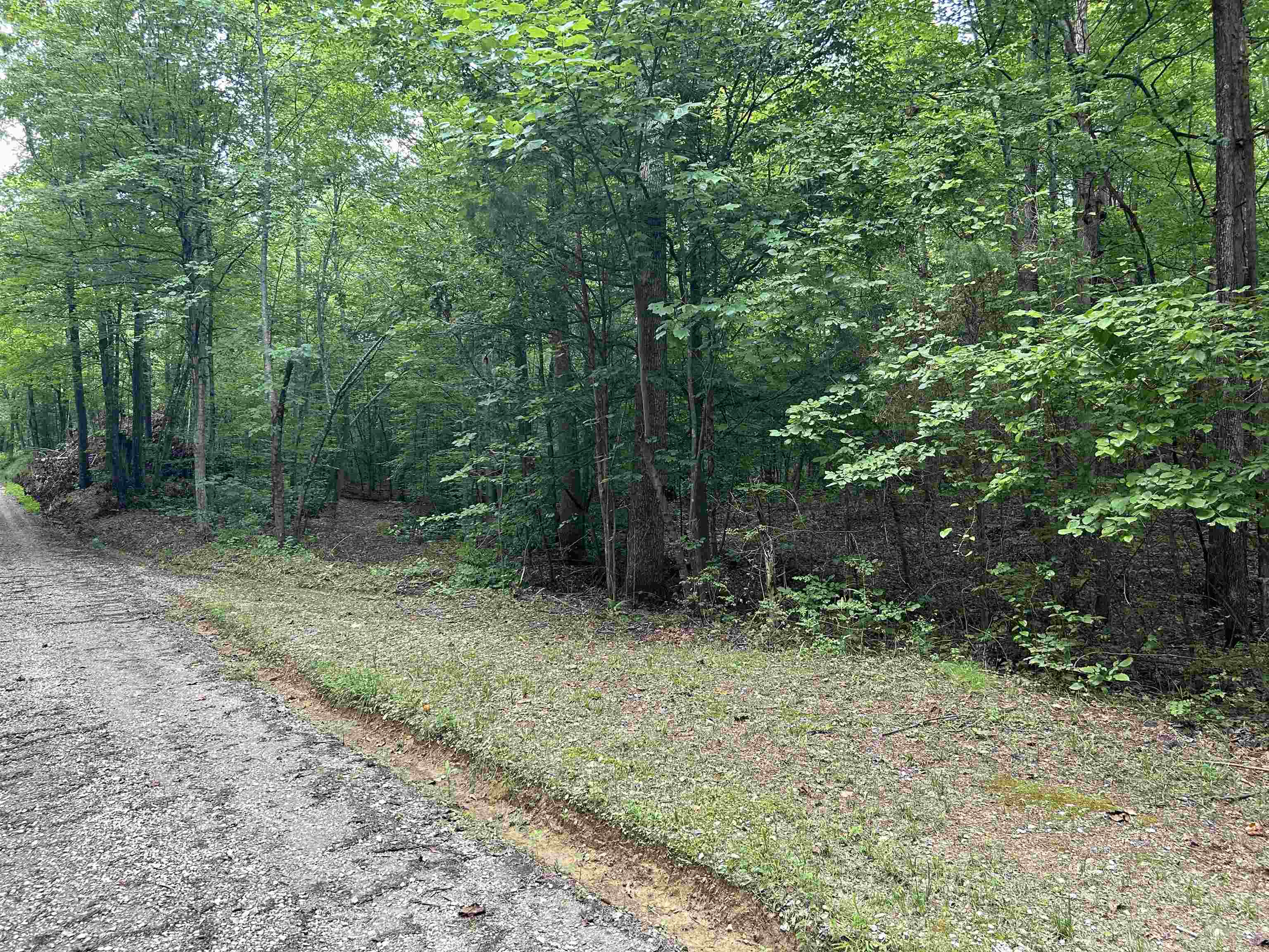 000 Moxley Lane, Fordsville, Kentucky 42343, ,Land,For Sale,Moxley Lane,90154