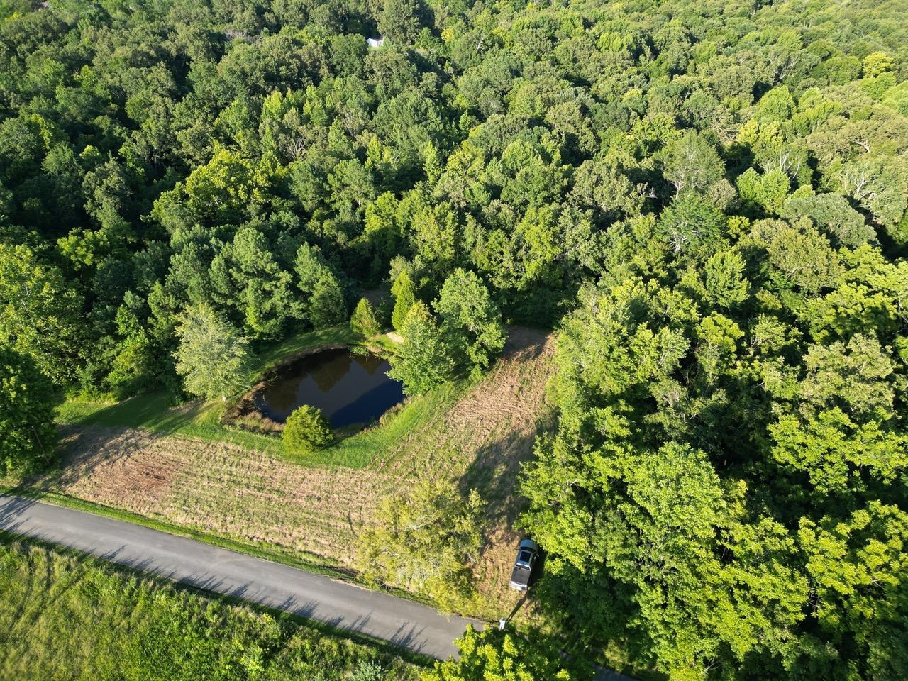 430 Bard Lane, Greenville, Kentucky 42345, ,Land,For Sale,Bard Lane,90191