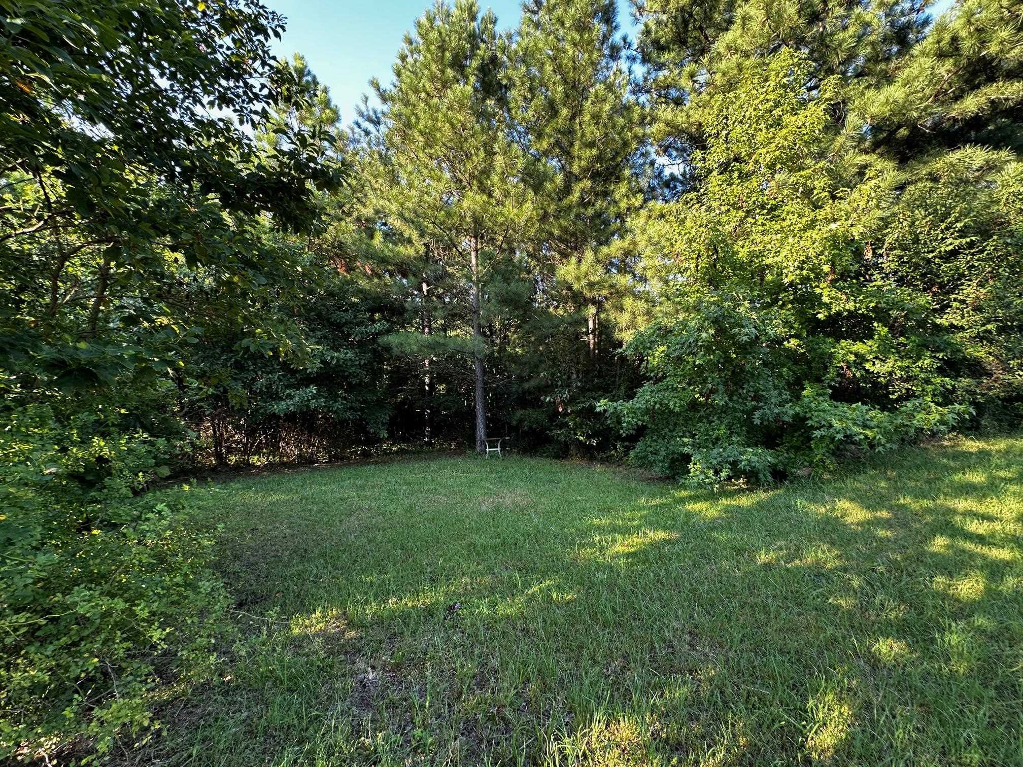 430 Bard Lane, Greenville, Kentucky 42345, ,Land,For Sale,Bard Lane,90191