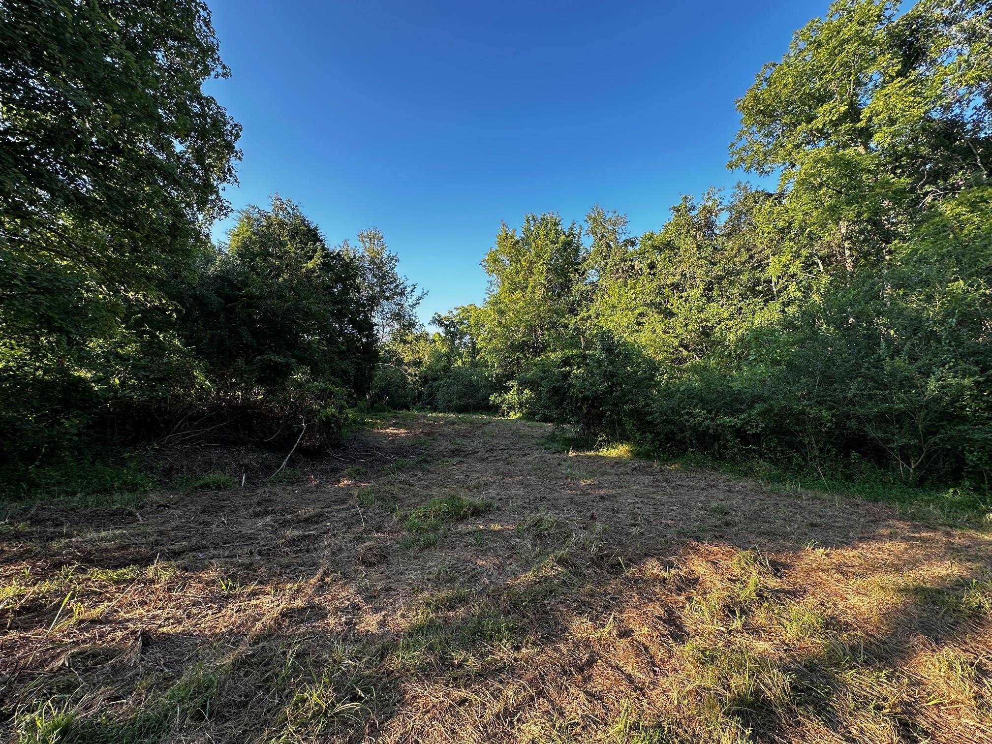 430 Bard Lane, Greenville, Kentucky 42345, ,Land,For Sale,Bard Lane,90191