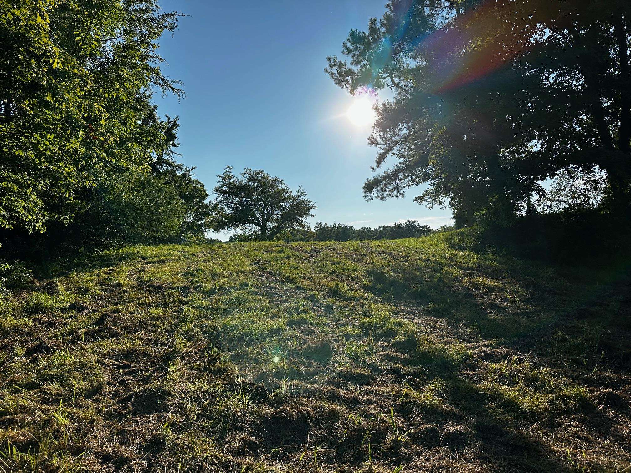 430 Bard Lane, Greenville, Kentucky 42345, ,Land,For Sale,Bard Lane,90191