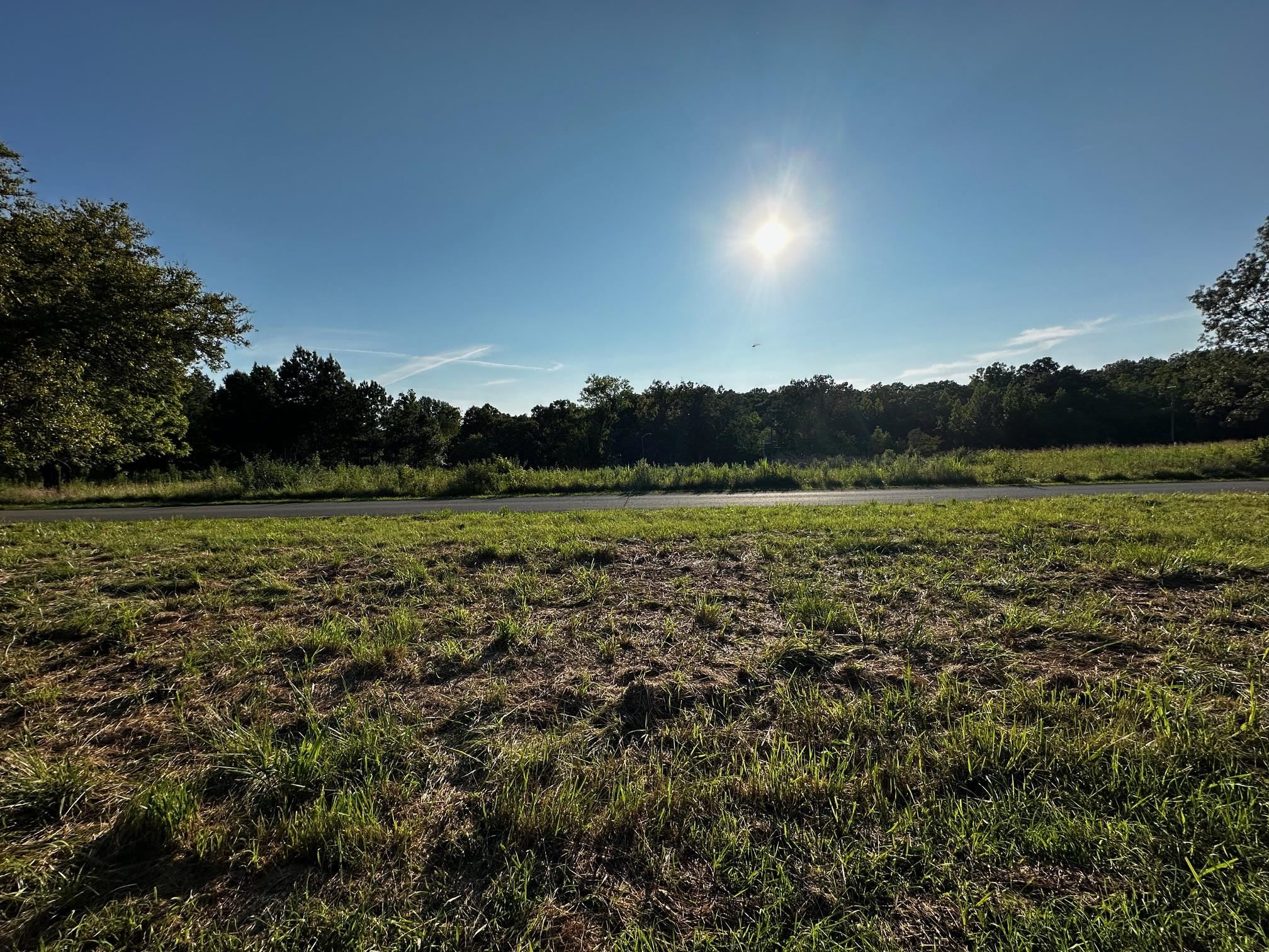 430 Bard Lane, Greenville, Kentucky 42345, ,Land,For Sale,Bard Lane,90191