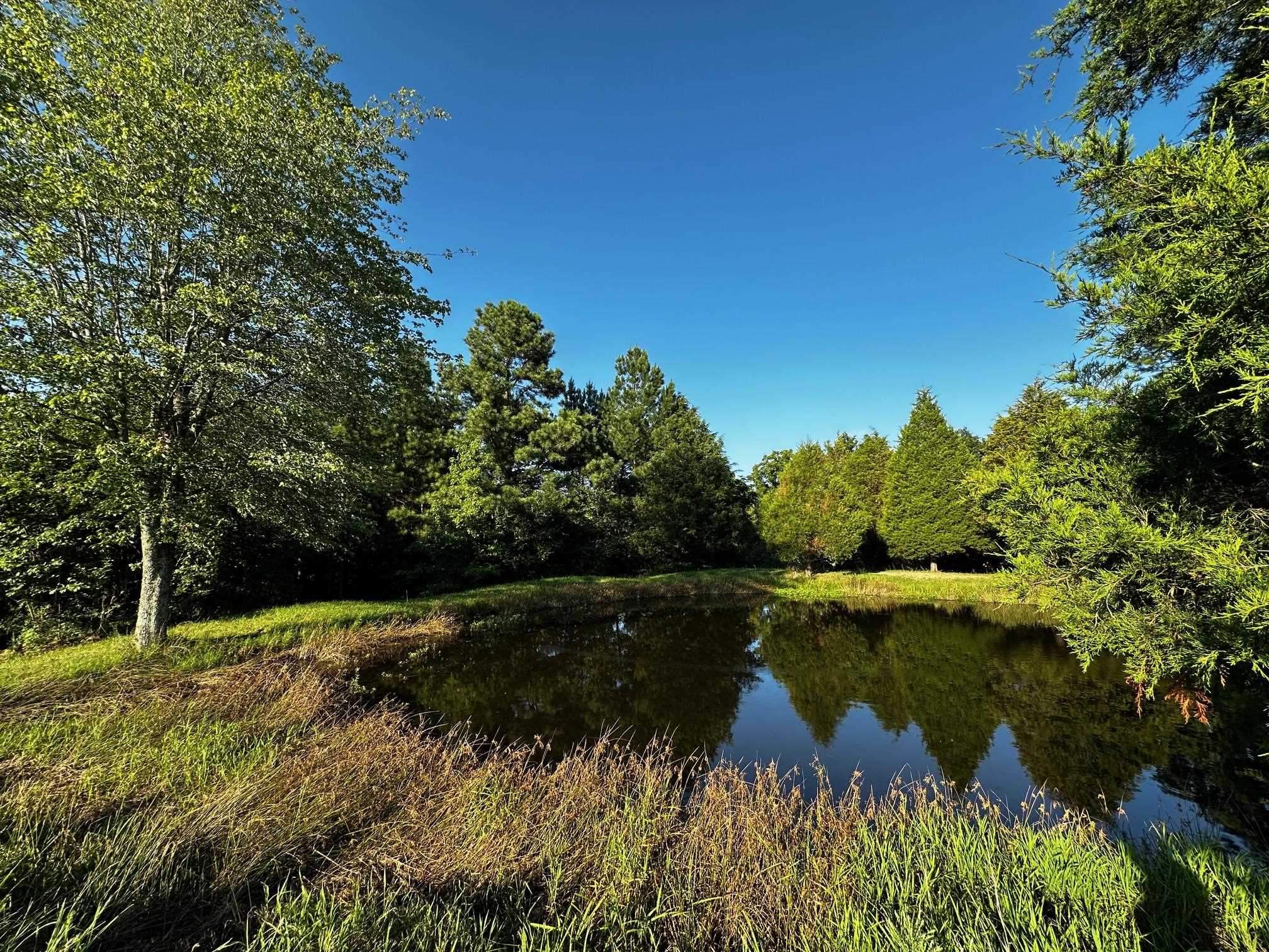 430 Bard Lane, Greenville, Kentucky 42345, ,Land,For Sale,Bard Lane,90191